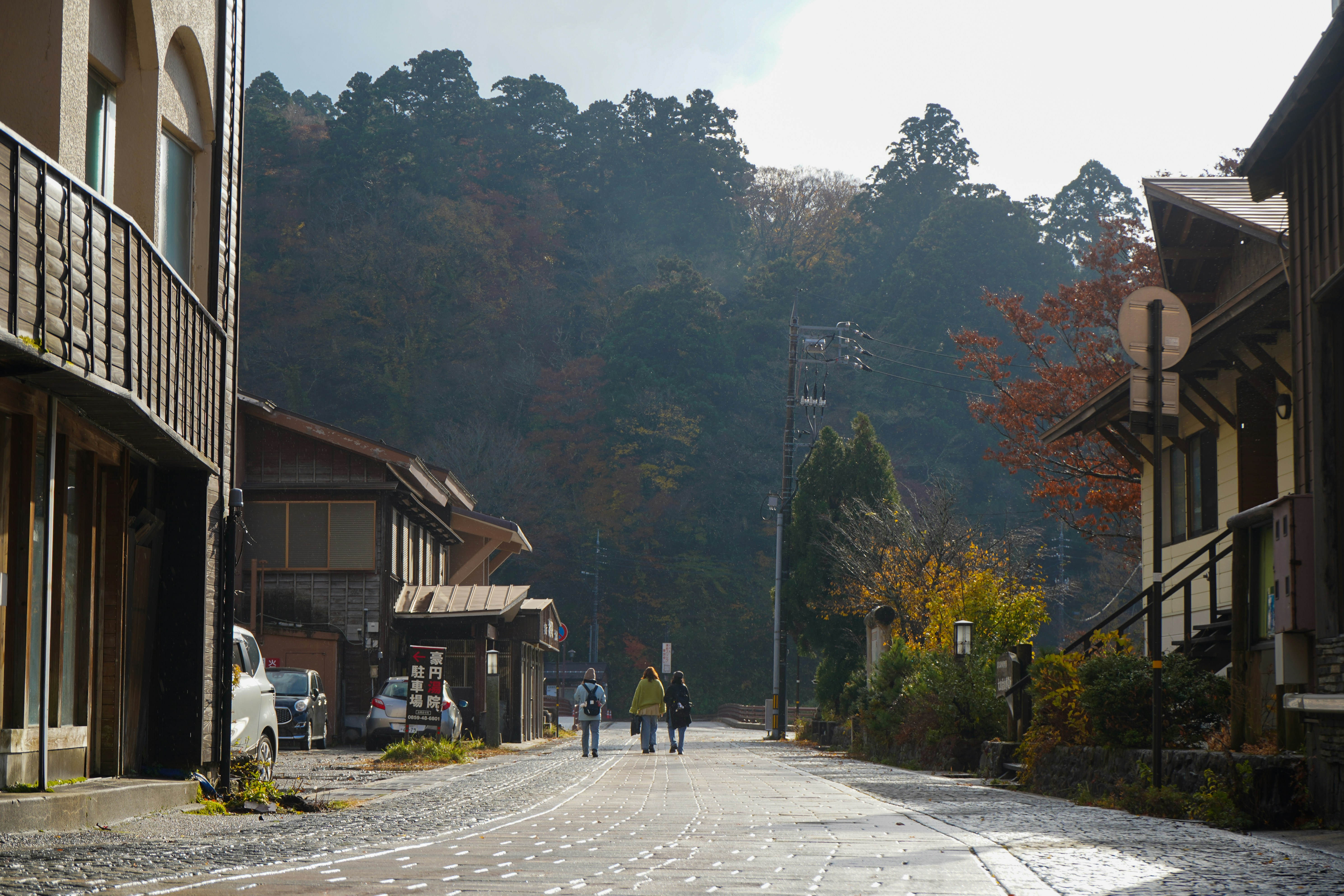 Local Japanese food in a rural setting