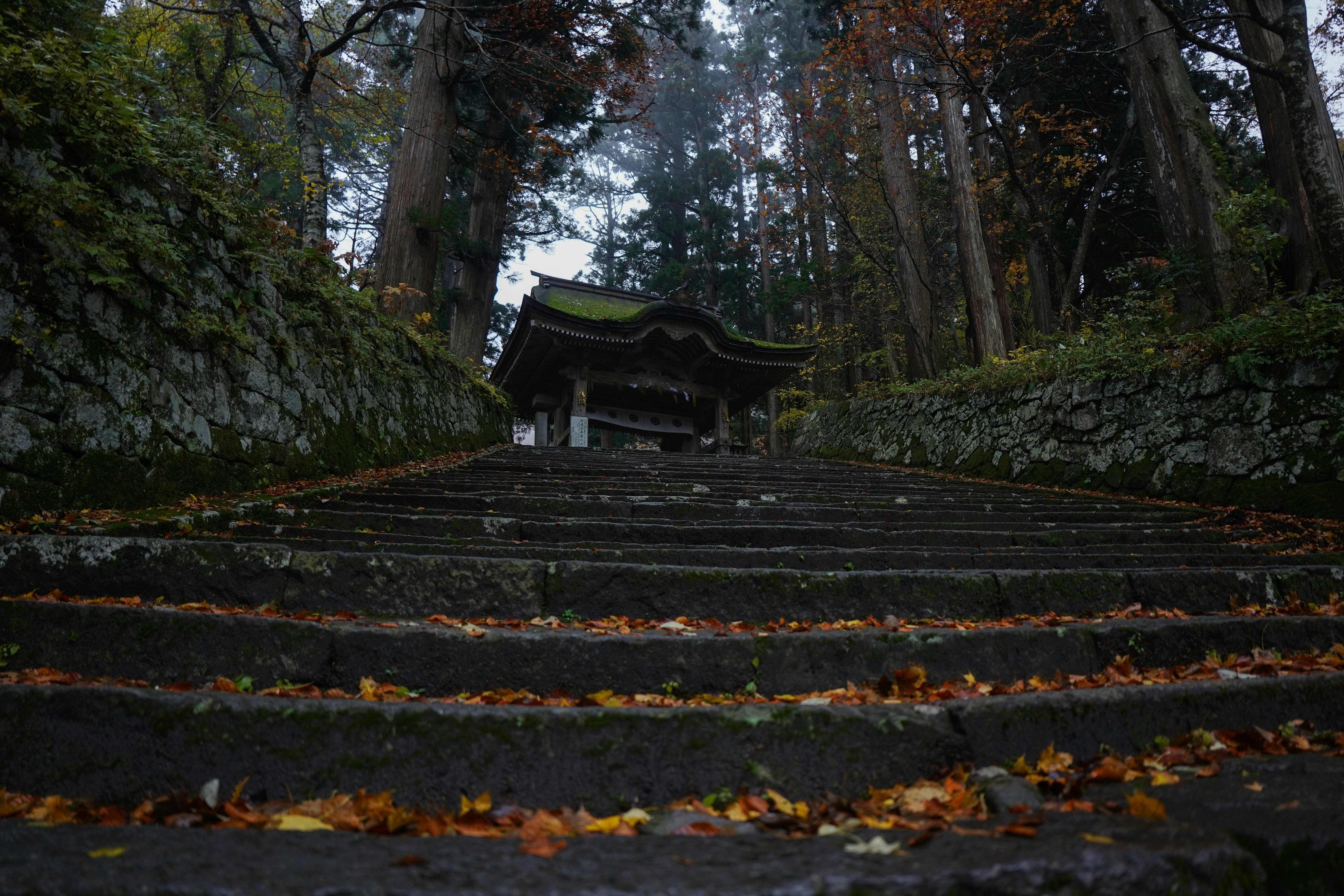 東福寺庭園ツアー