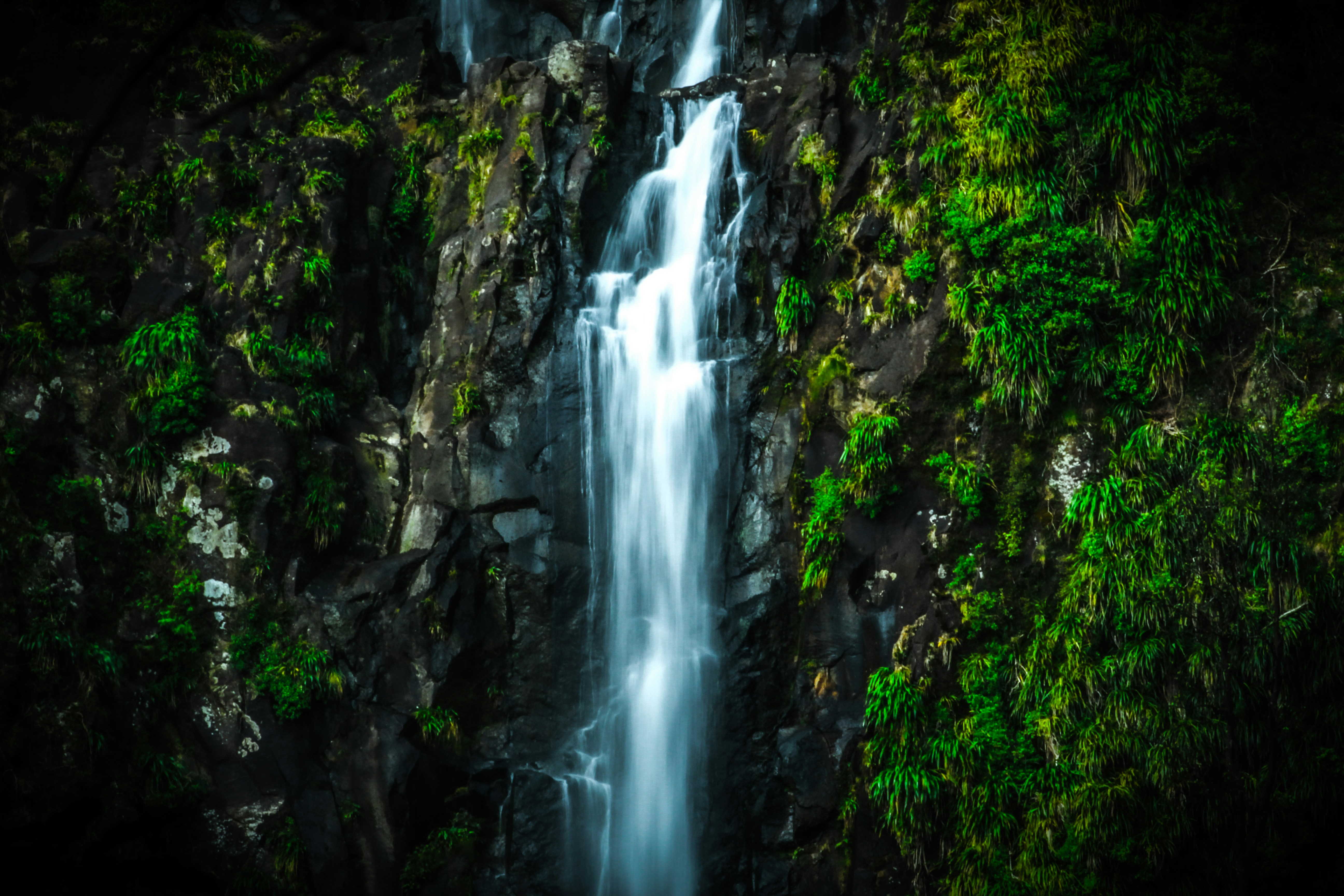 Photo by samuelm_photo2025