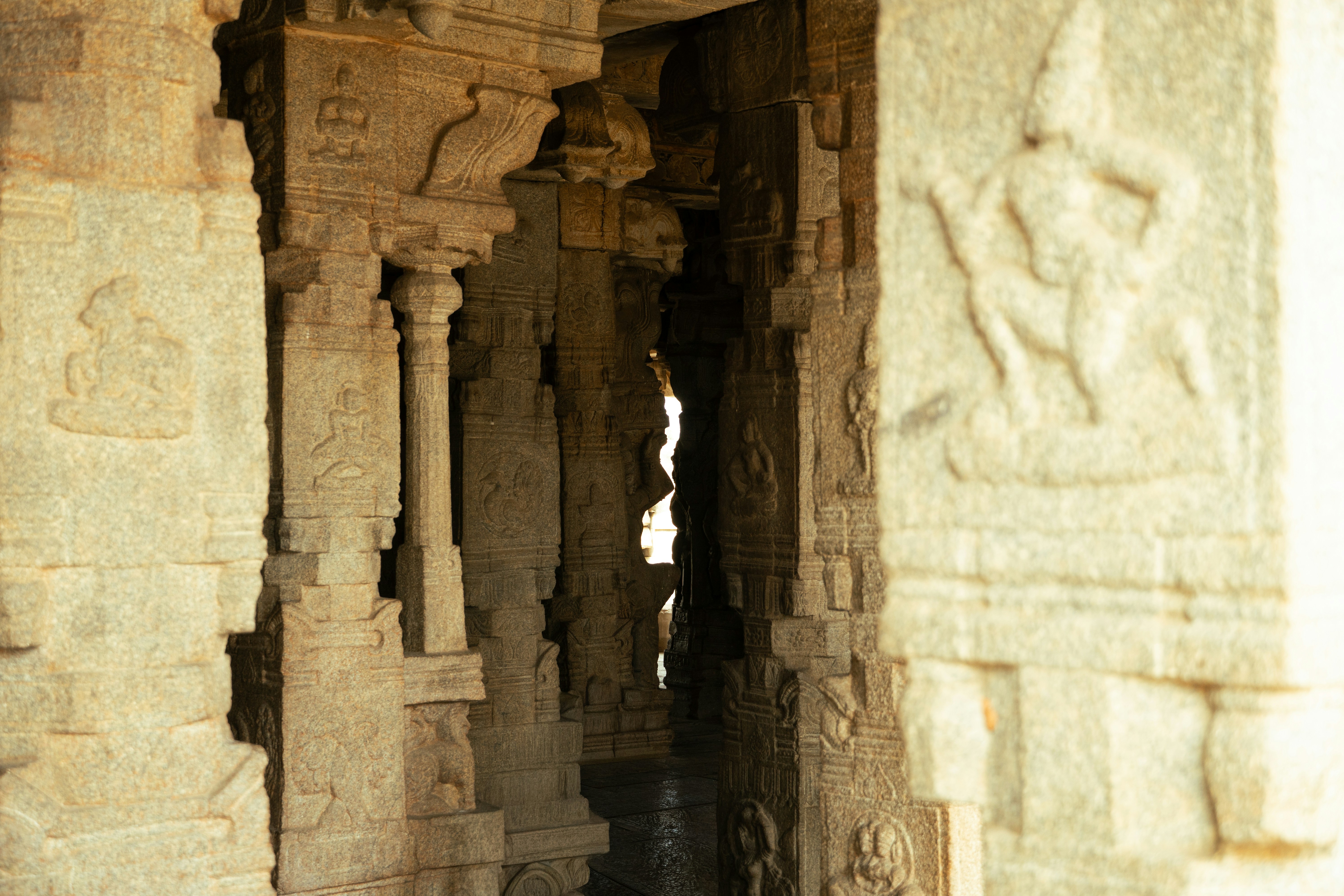 Photo by suhashanjar