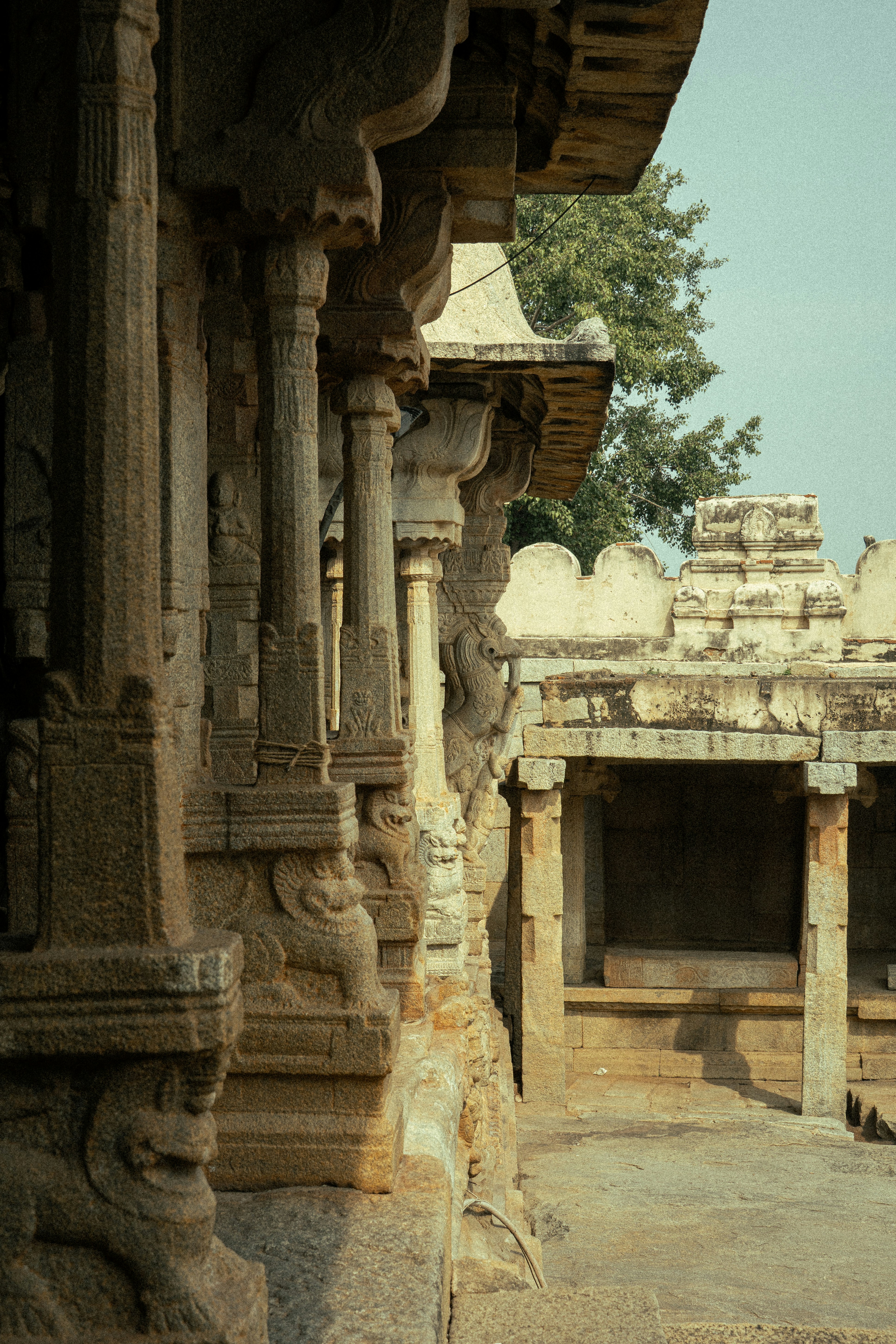 Photo by suhashanjar