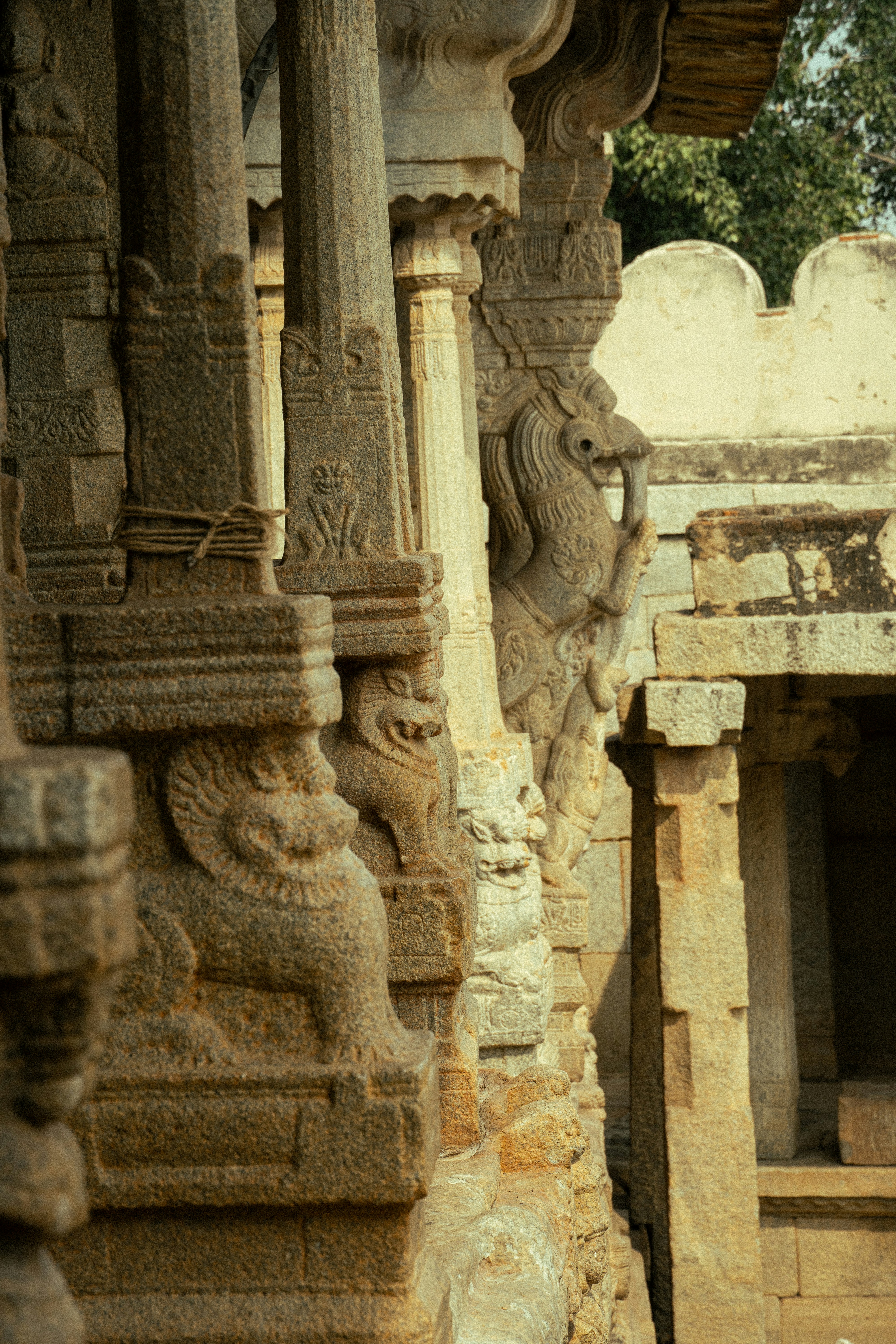 Photo by suhashanjar