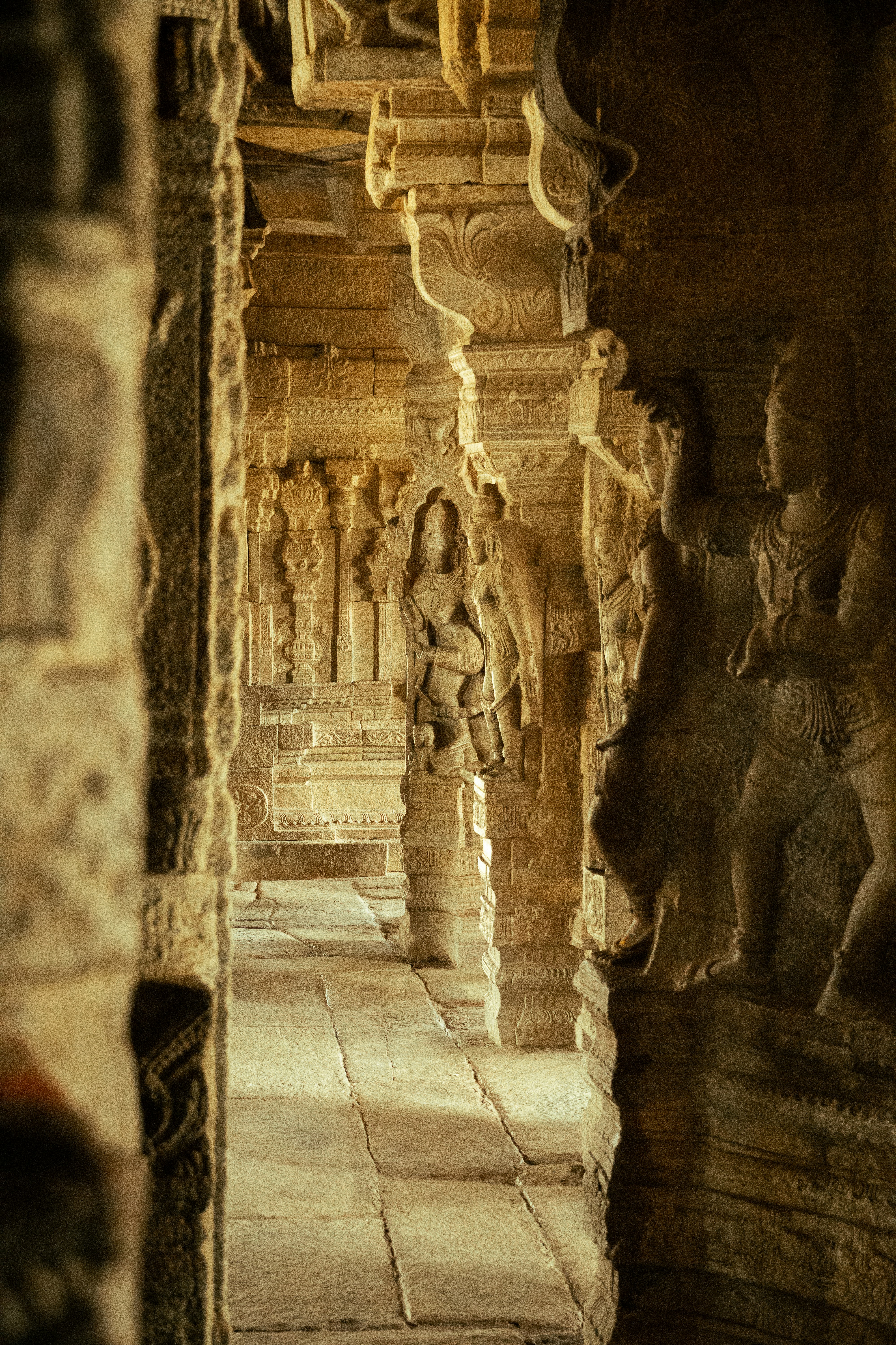 Photo by suhashanjar