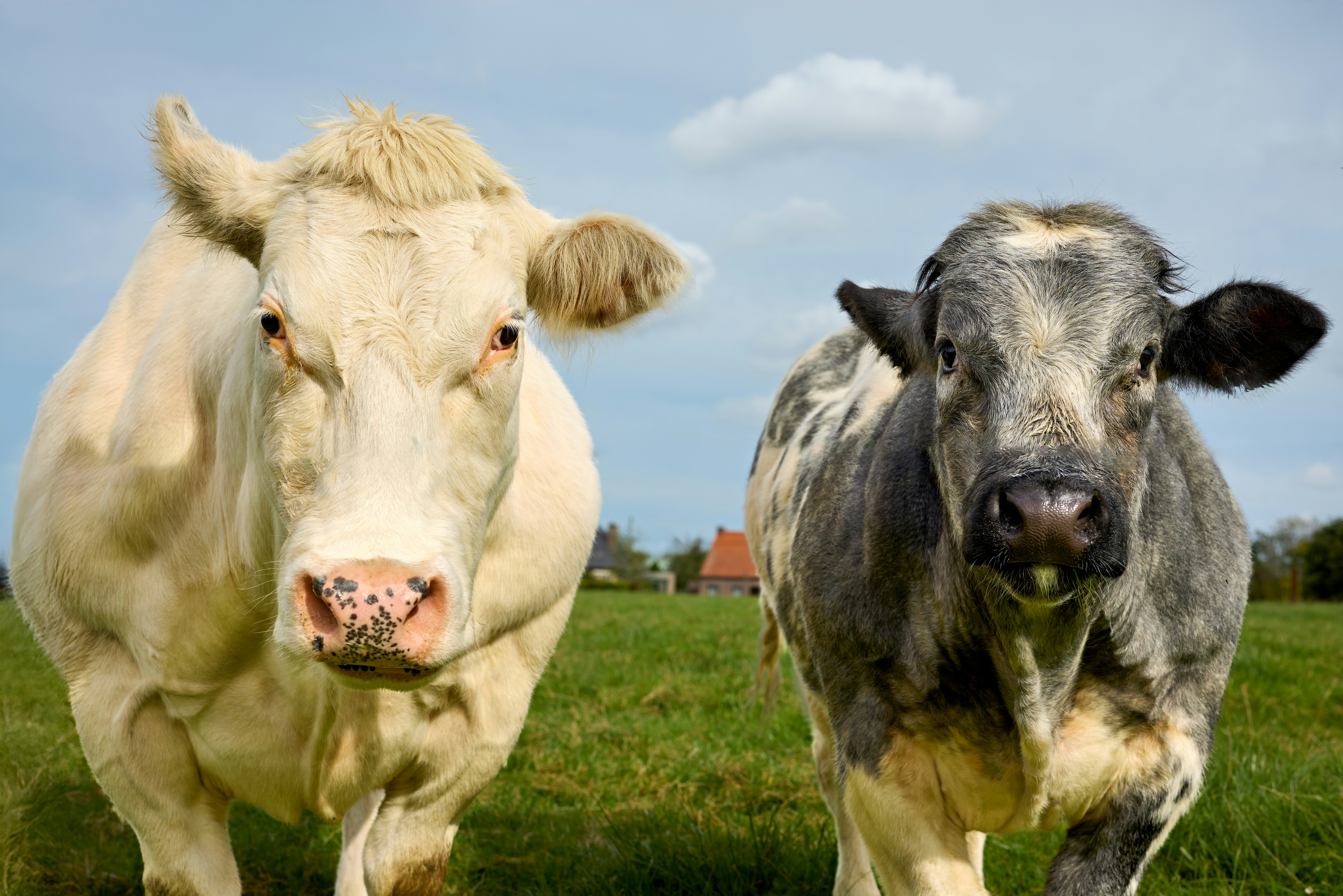 Maximizing Multi-Cloud Resilience: A Lesson from Microsoft 365 Outage