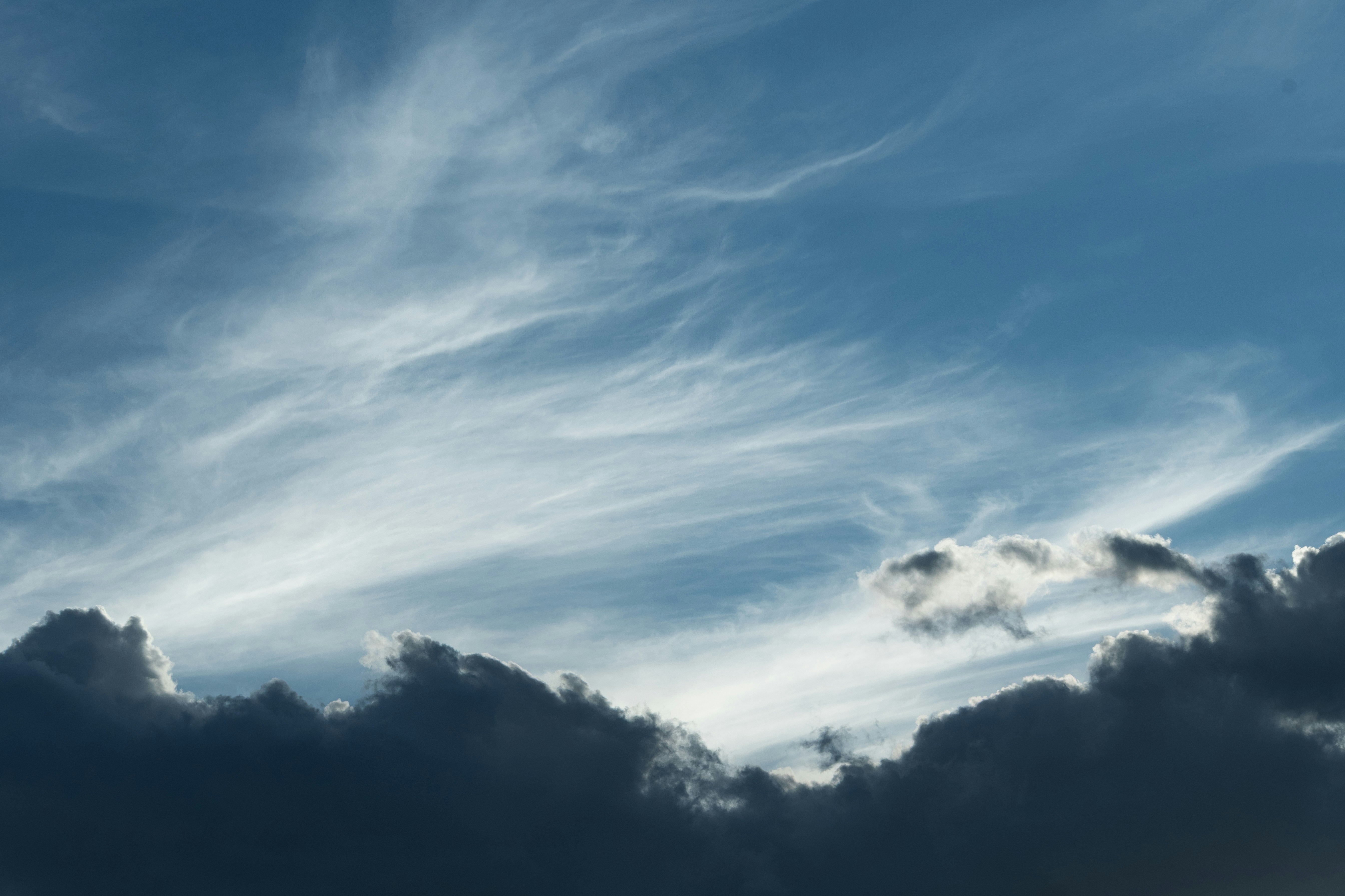 Photo by s_ahmadreza_p