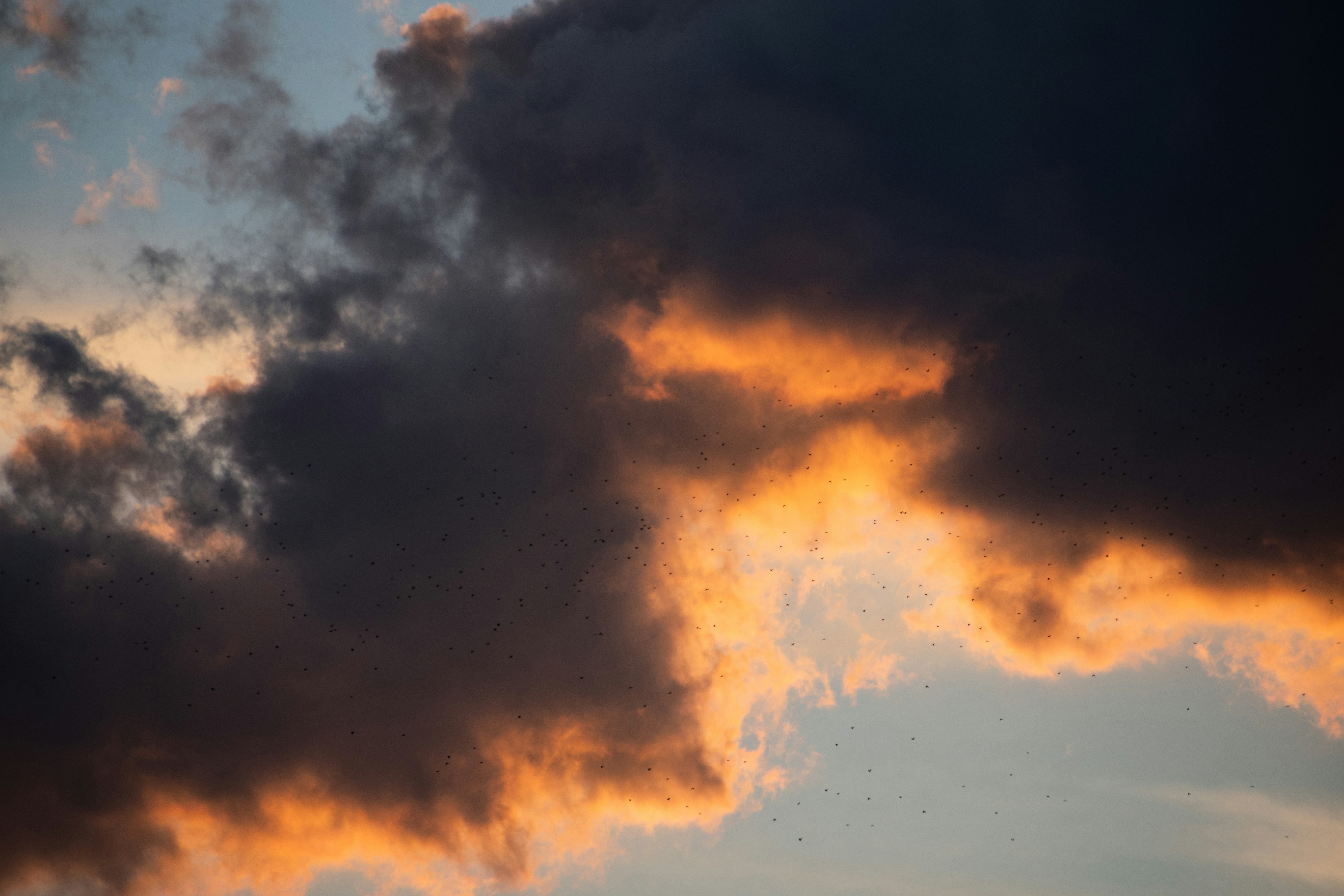 Photo by s_ahmadreza_p