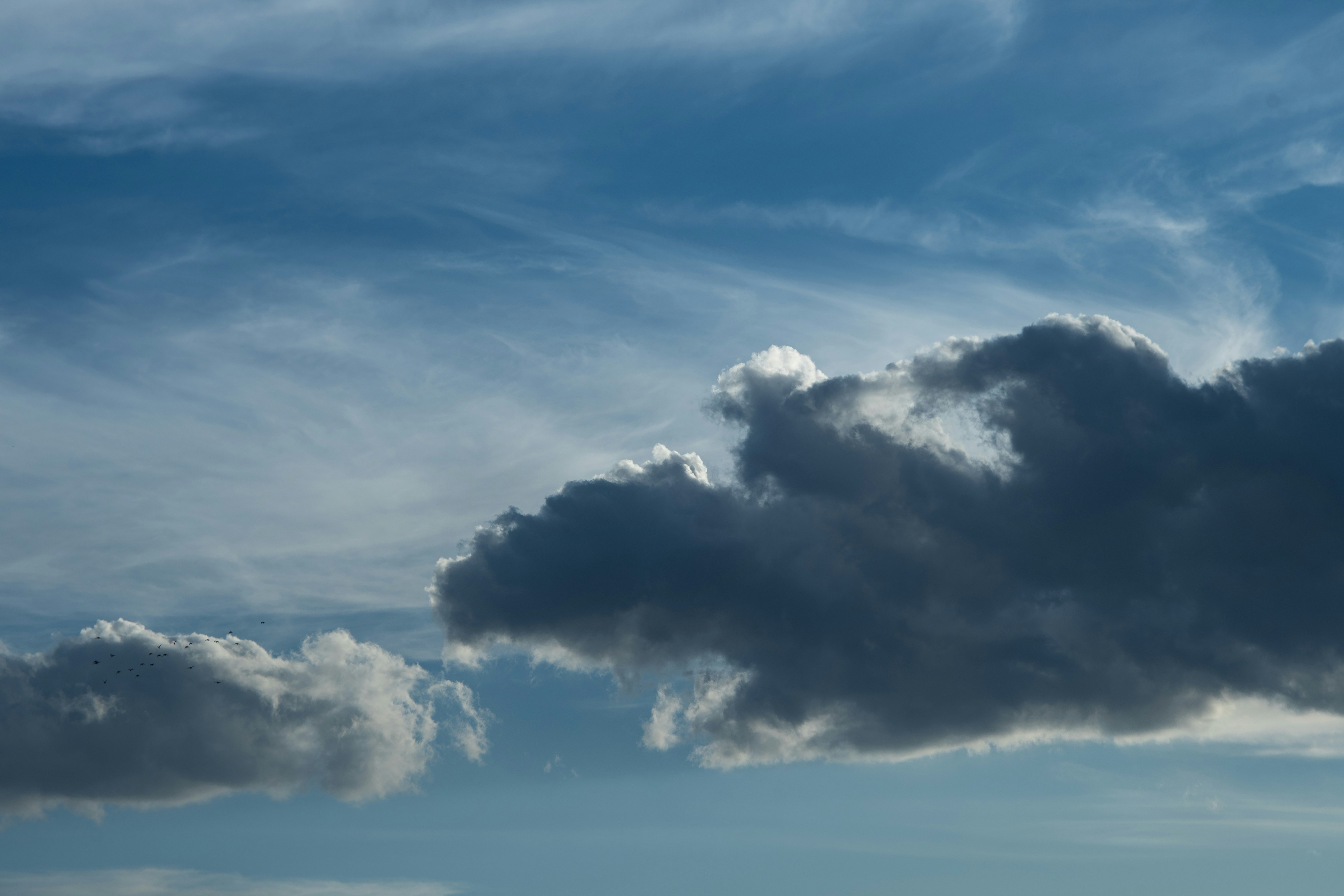 Photo by s_ahmadreza_p