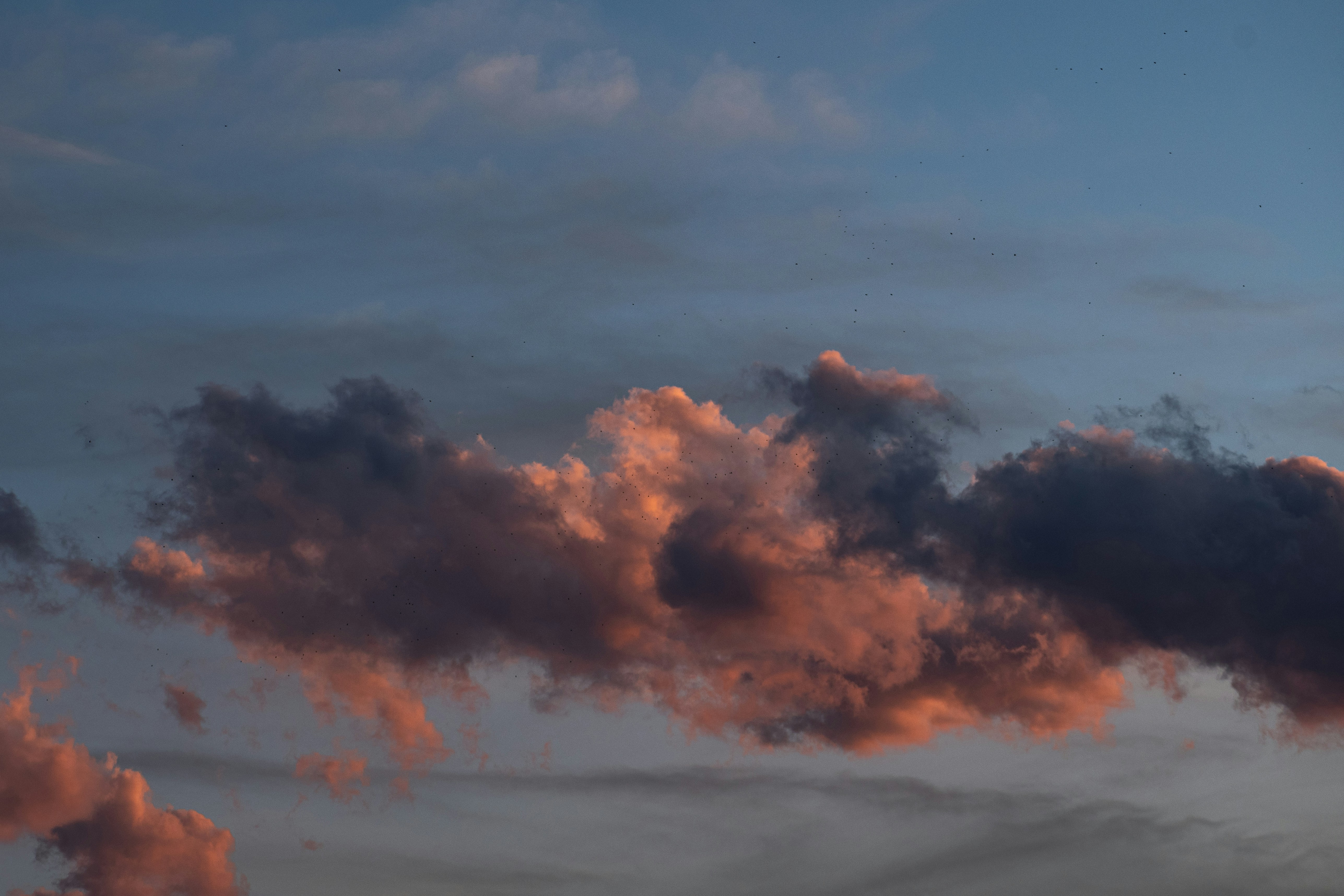 Photo by s_ahmadreza_p