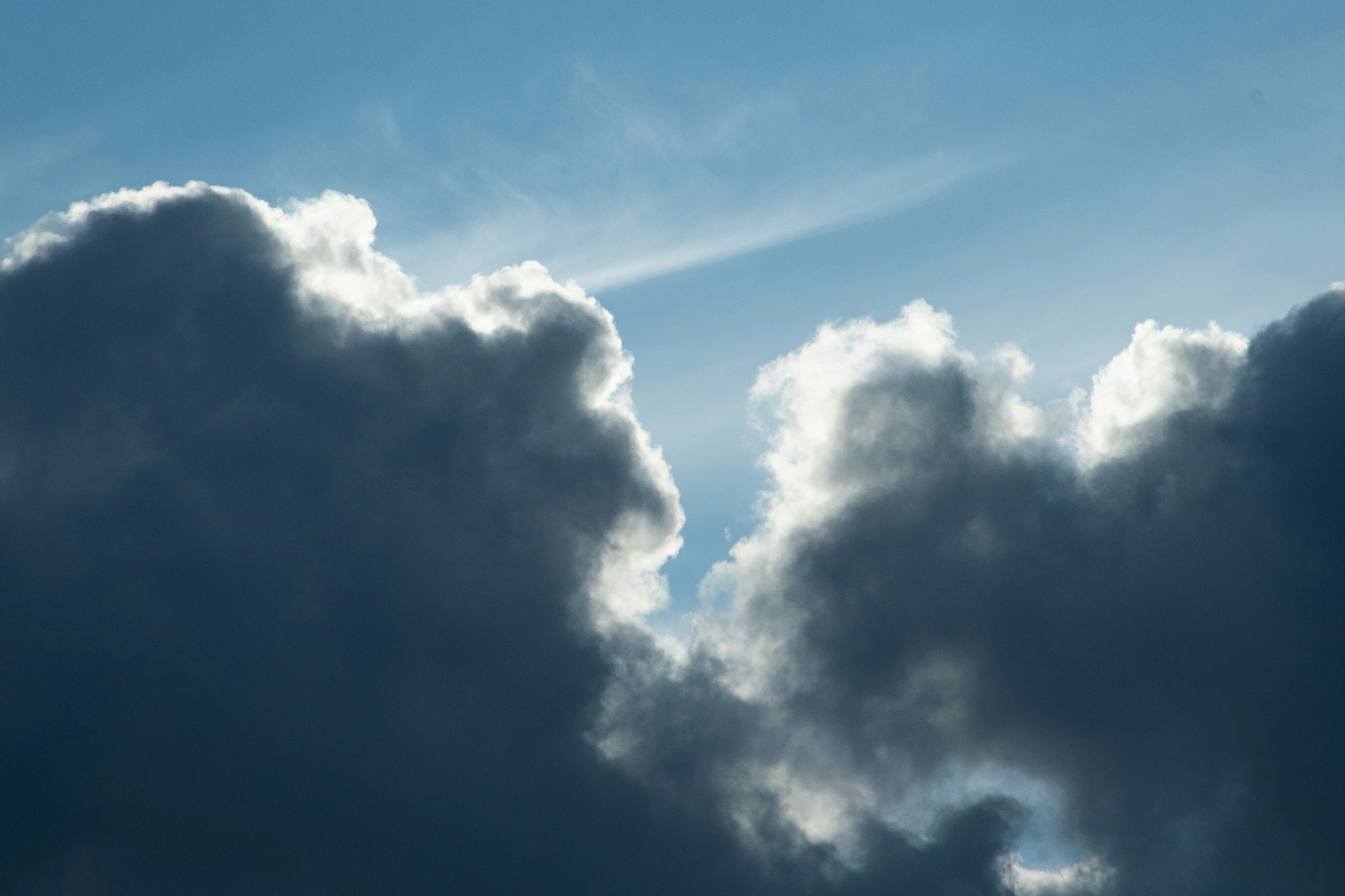 Photo by s_ahmadreza_p