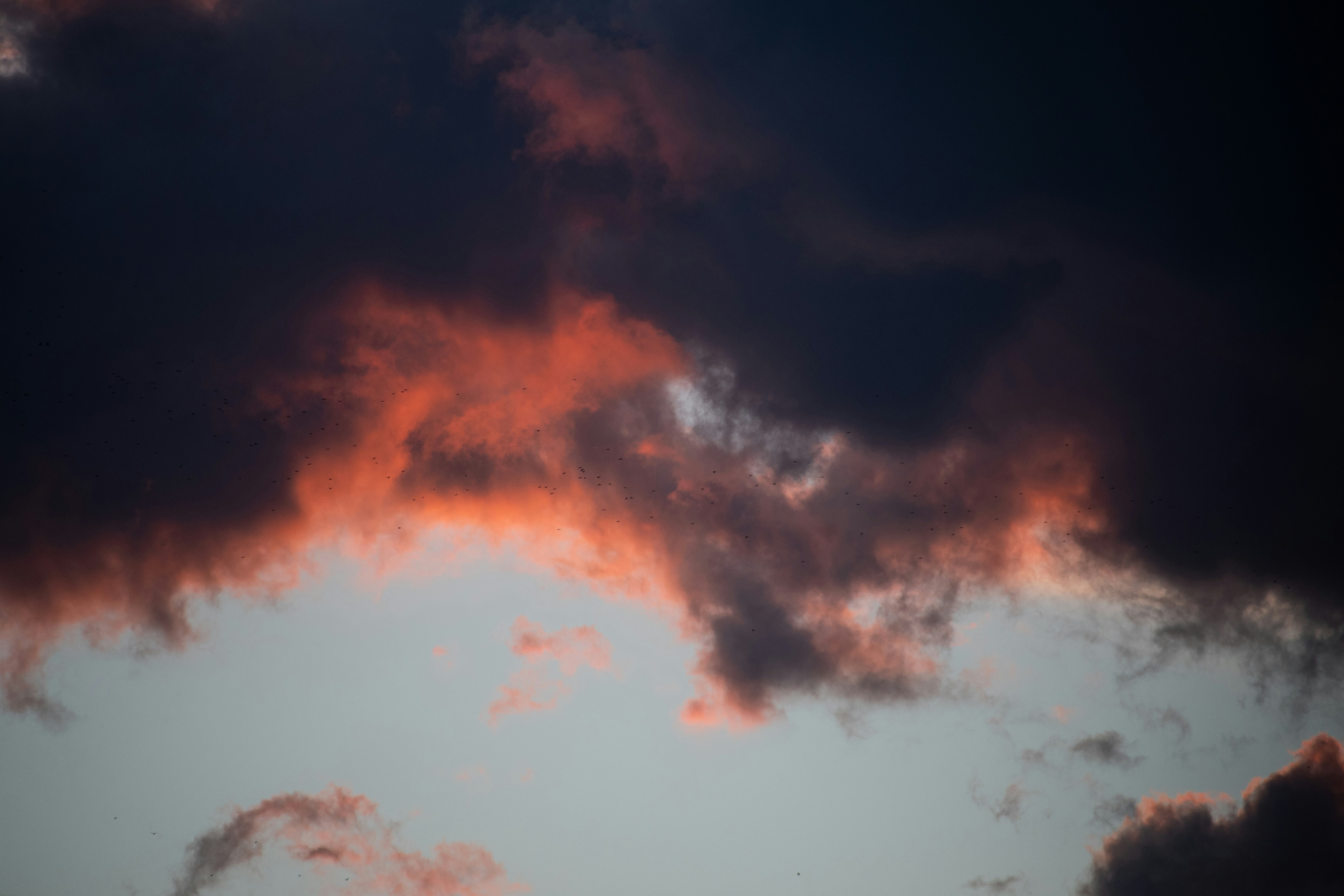 Photo by s_ahmadreza_p