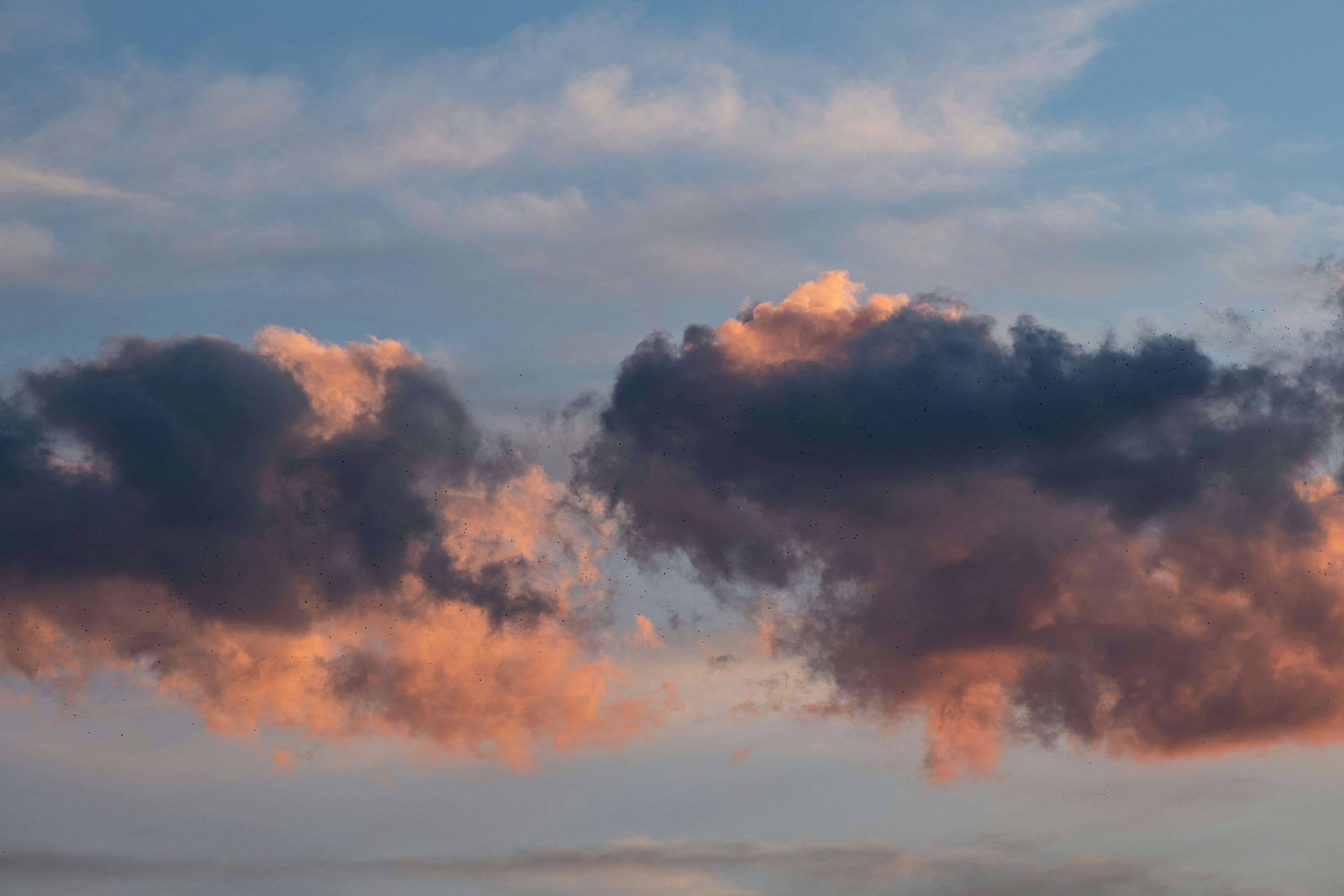 Photo by s_ahmadreza_p