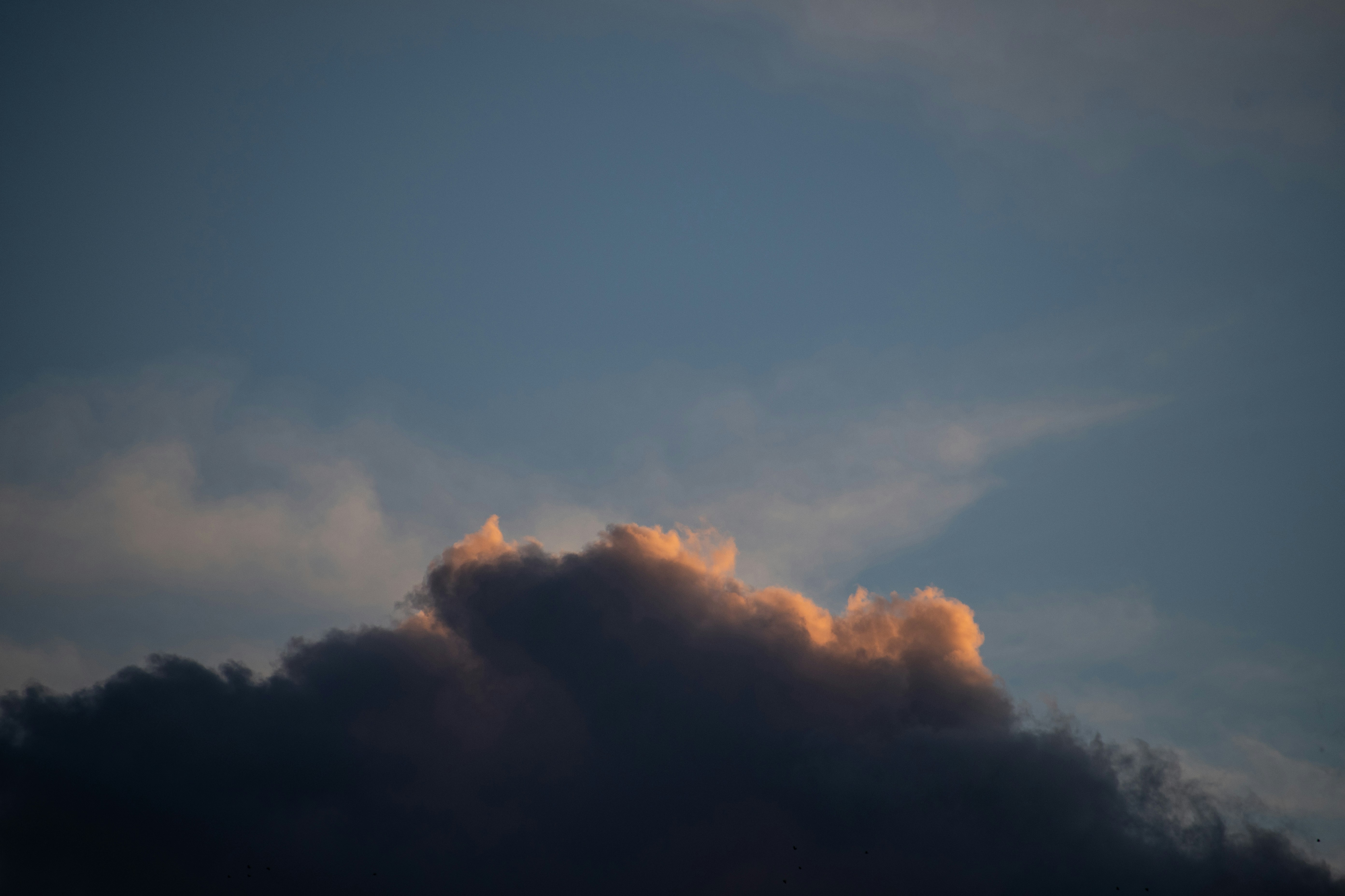 Photo by s_ahmadreza_p