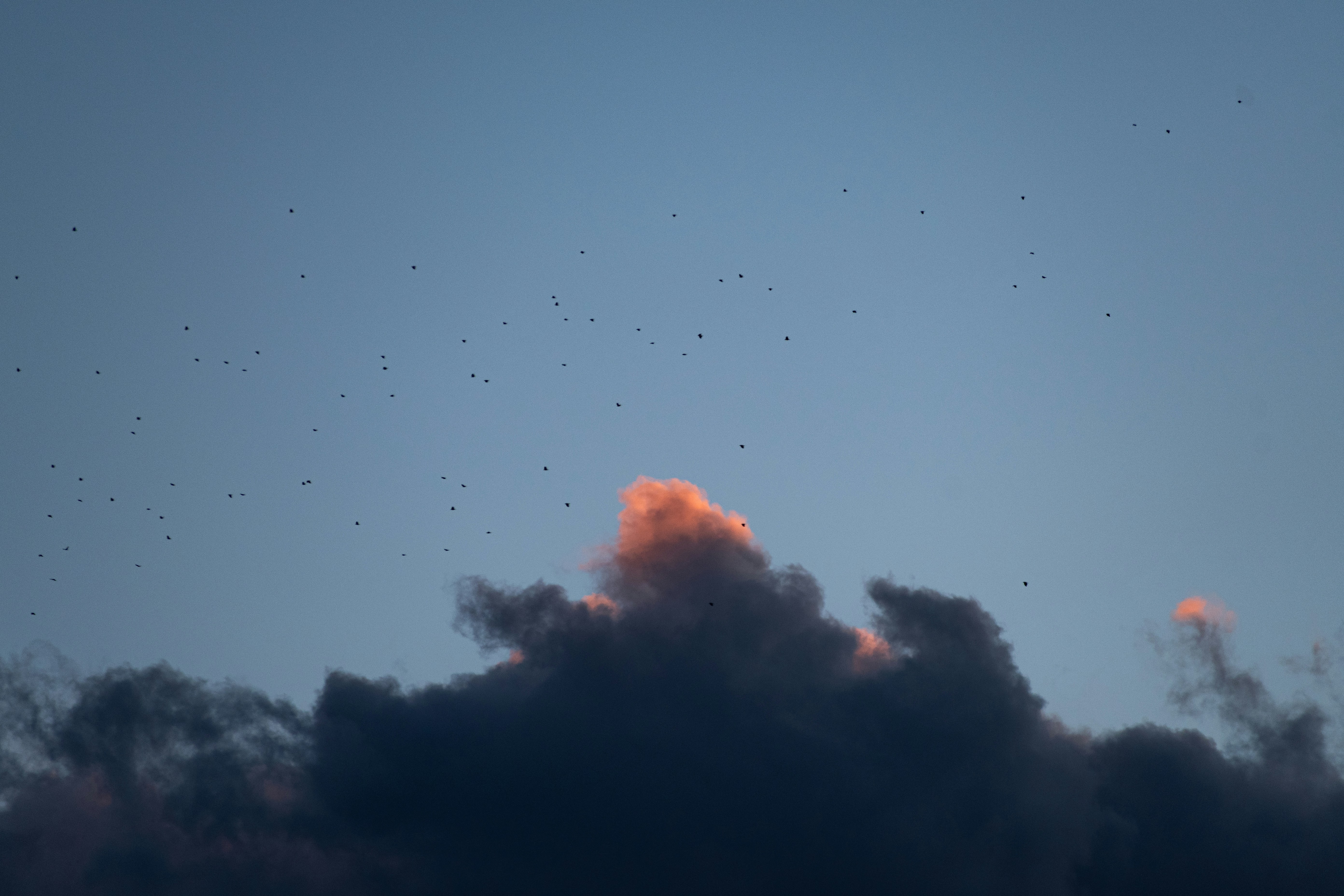 Photo by s_ahmadreza_p