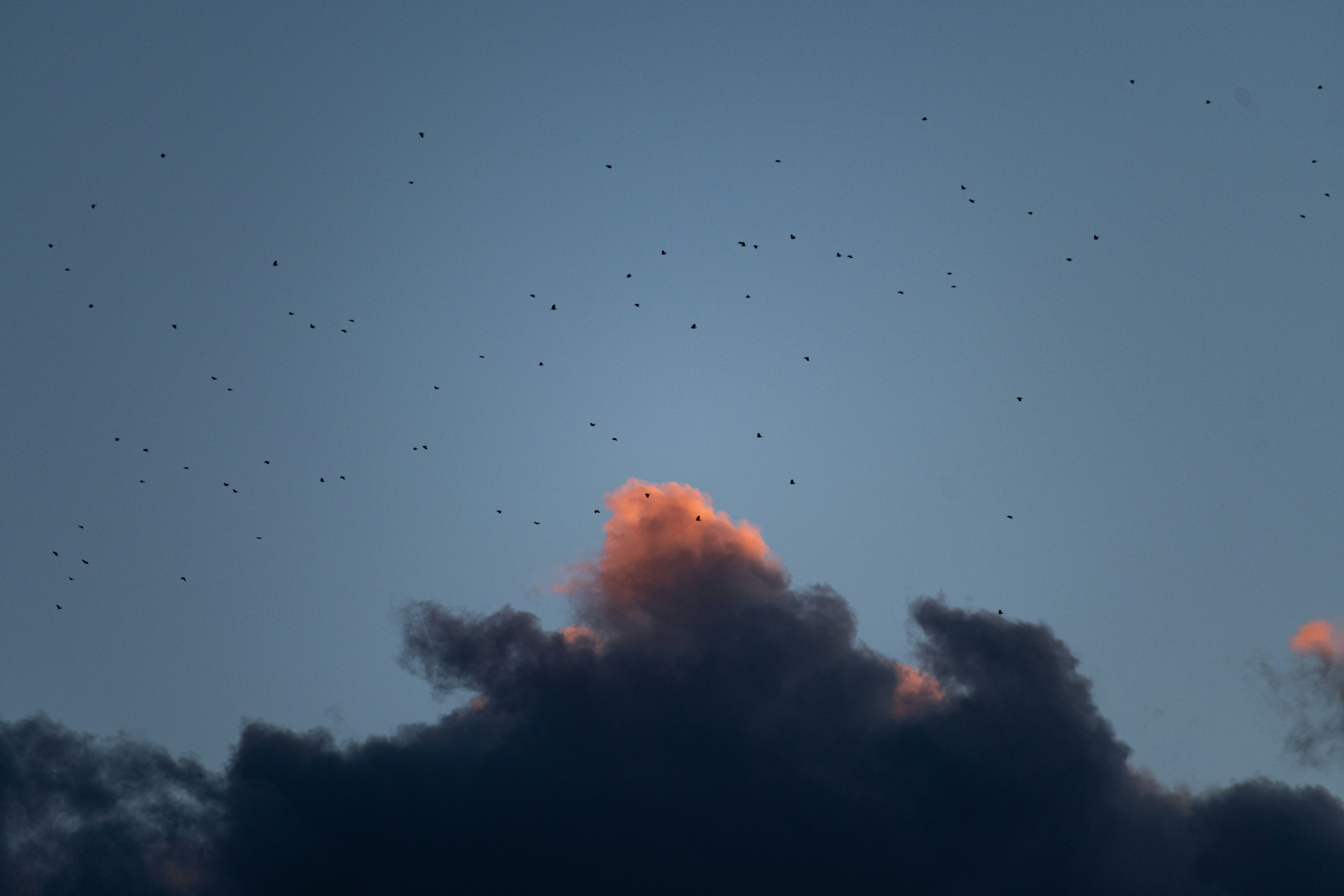 Photo by s_ahmadreza_p