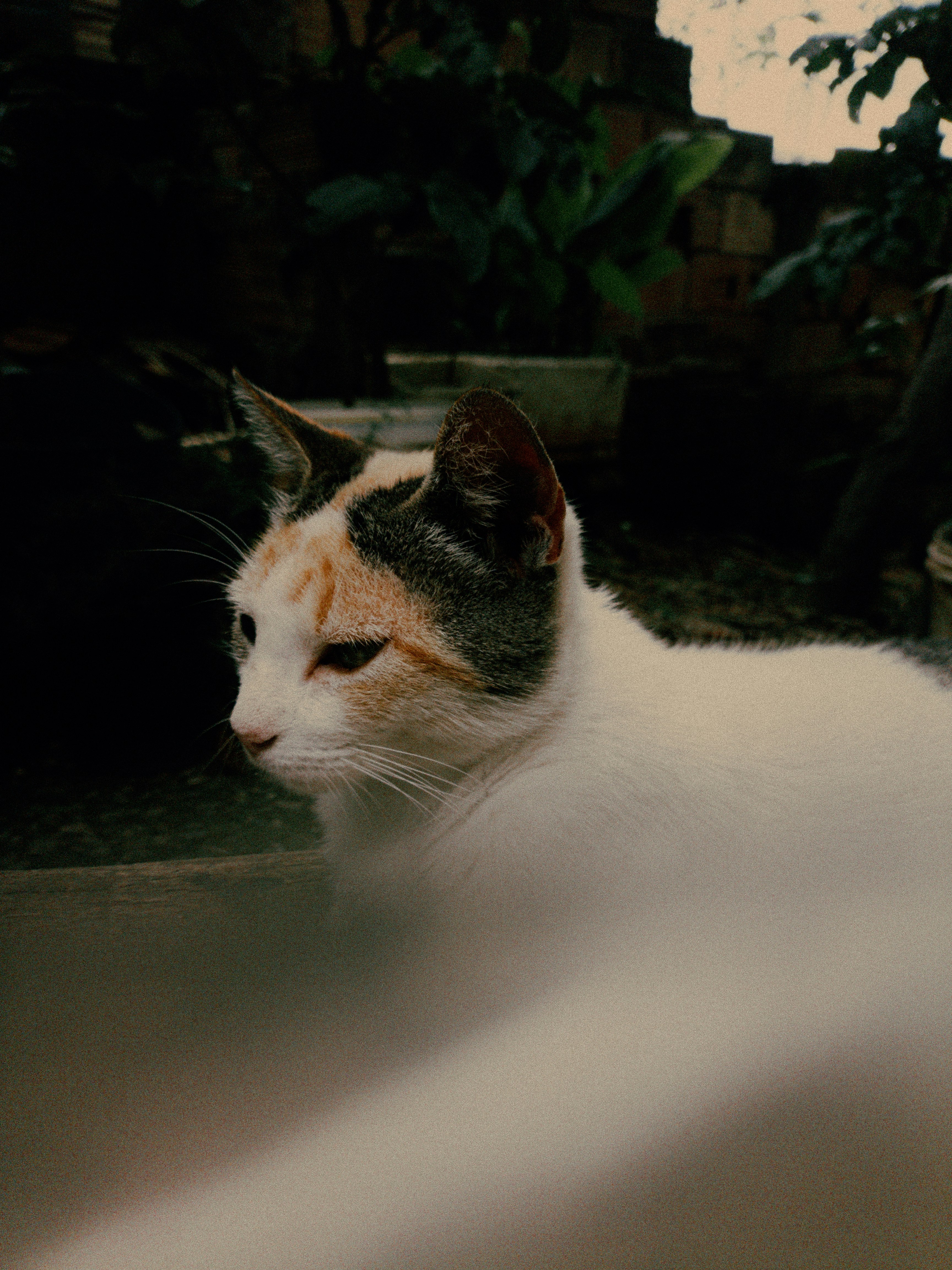 Photo by euigorbispo