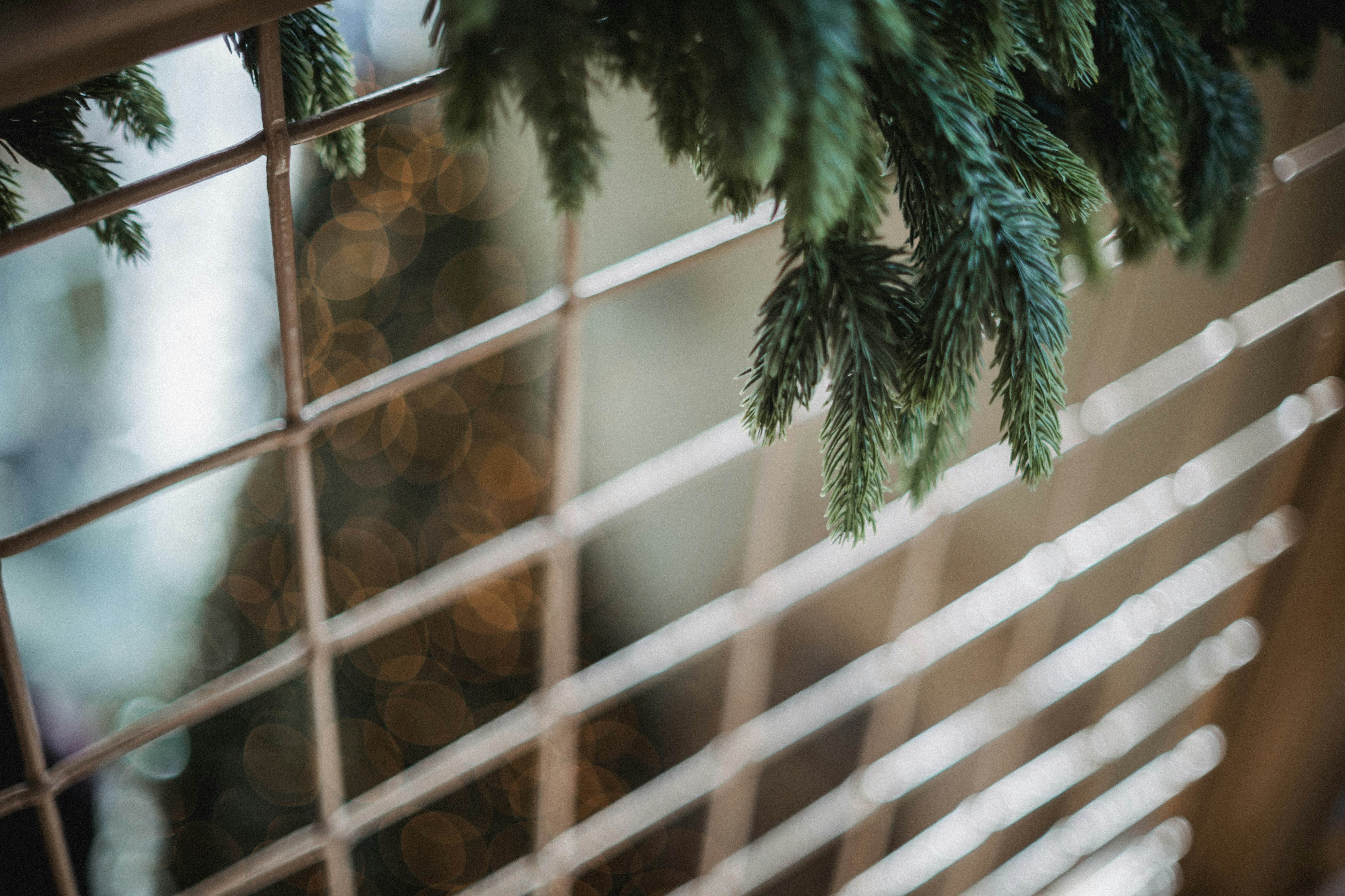 Green pine needles hang over a metal grate.