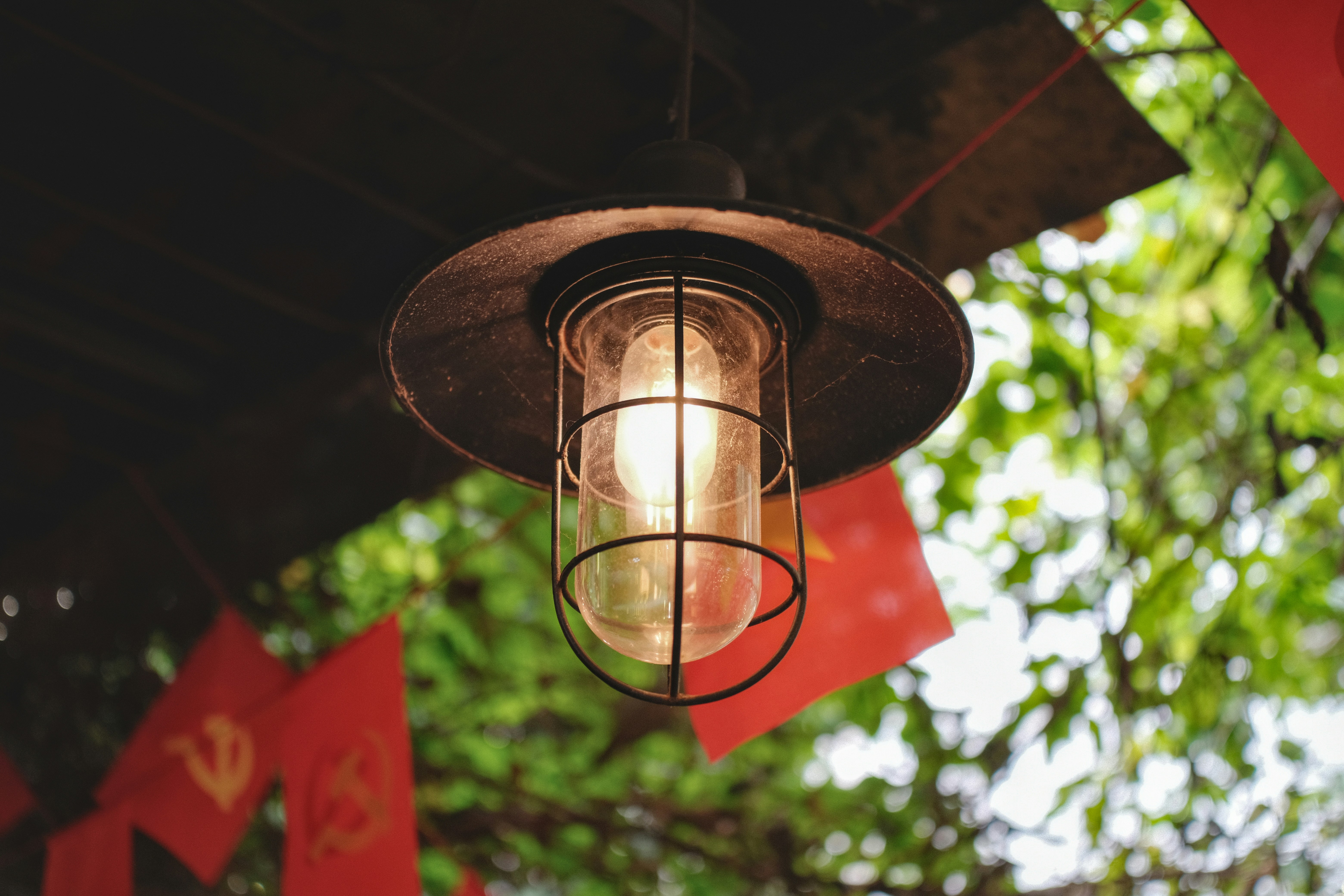 Photo by quangtran304