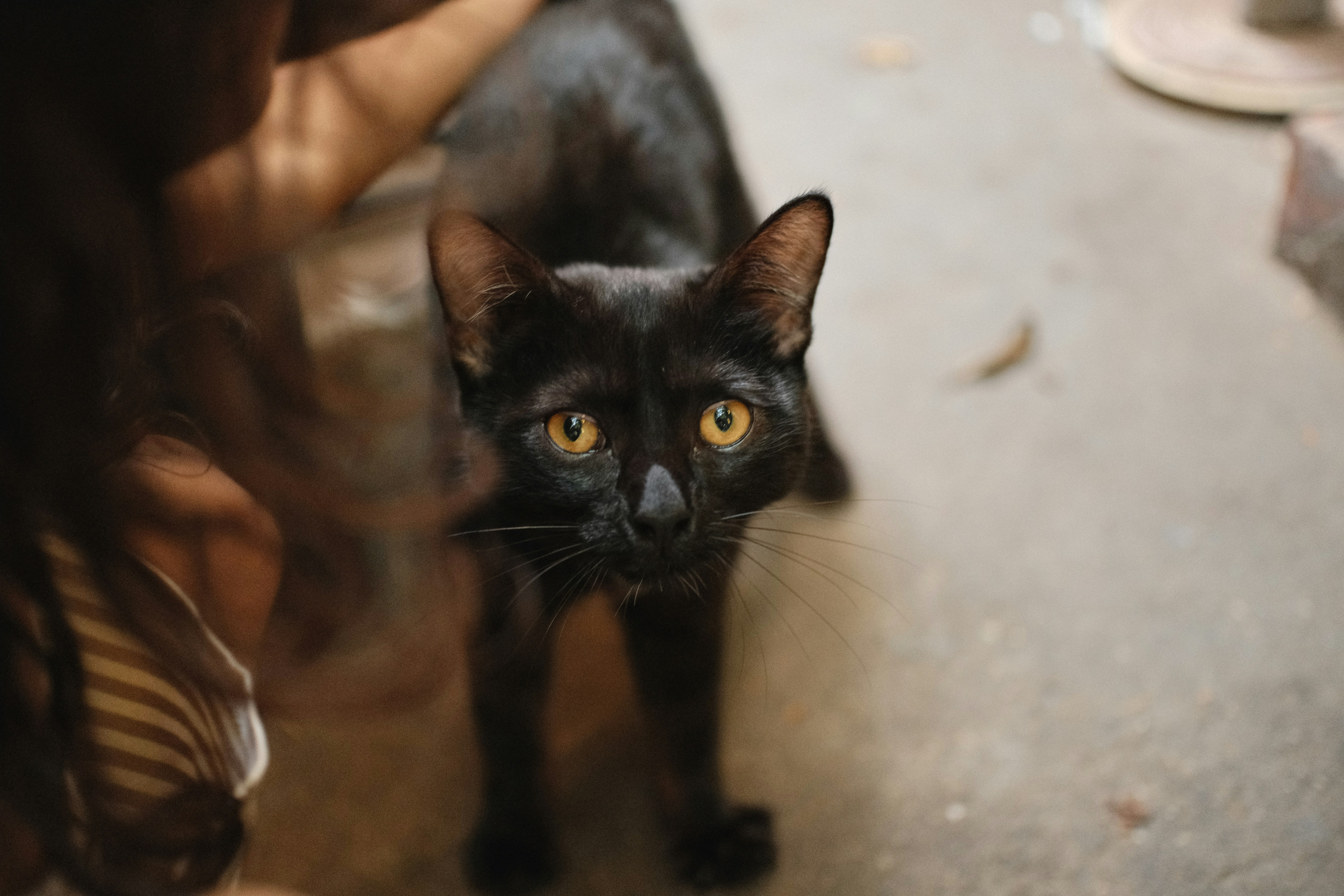 Photo by quangtran304