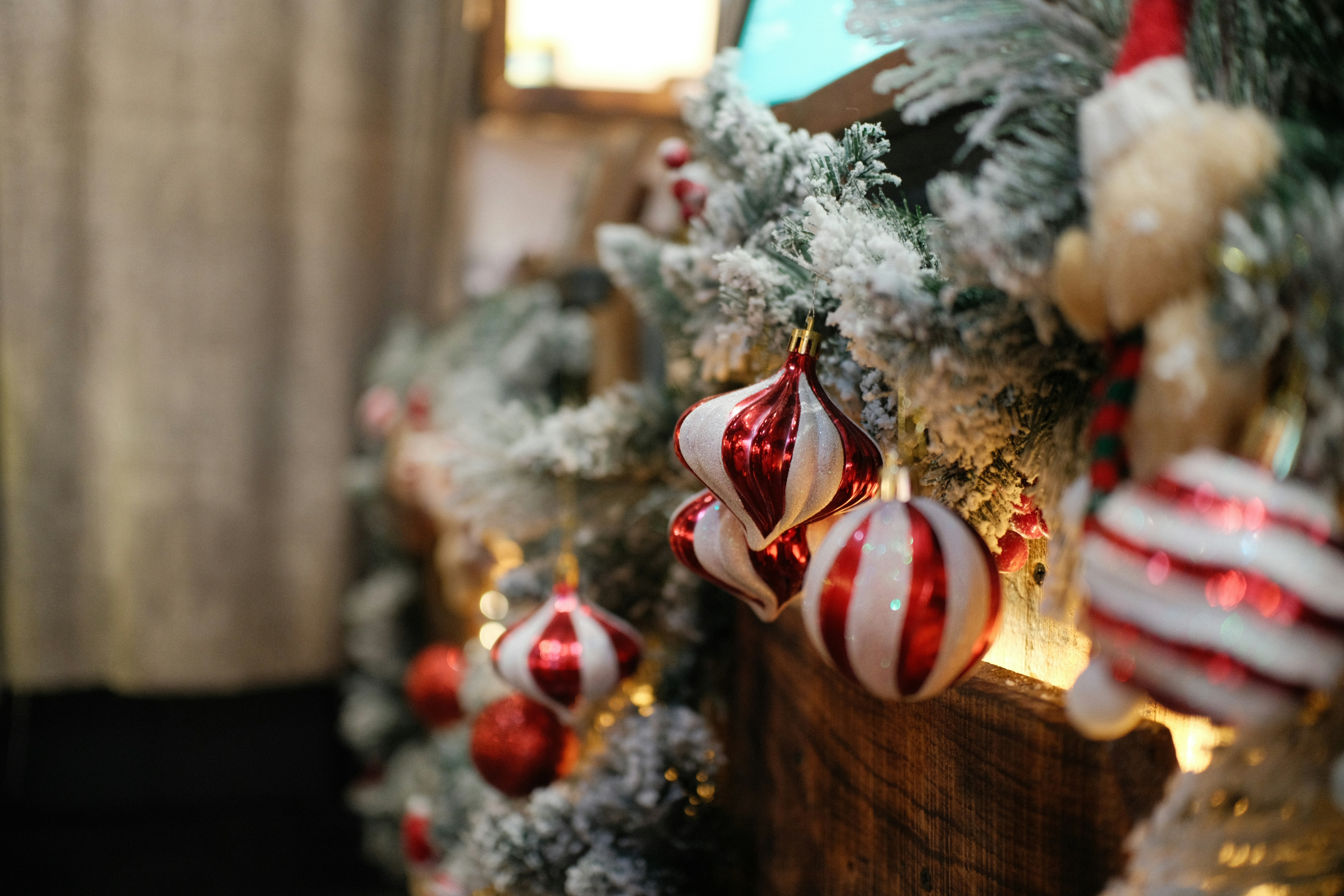 Photo by quangtran304