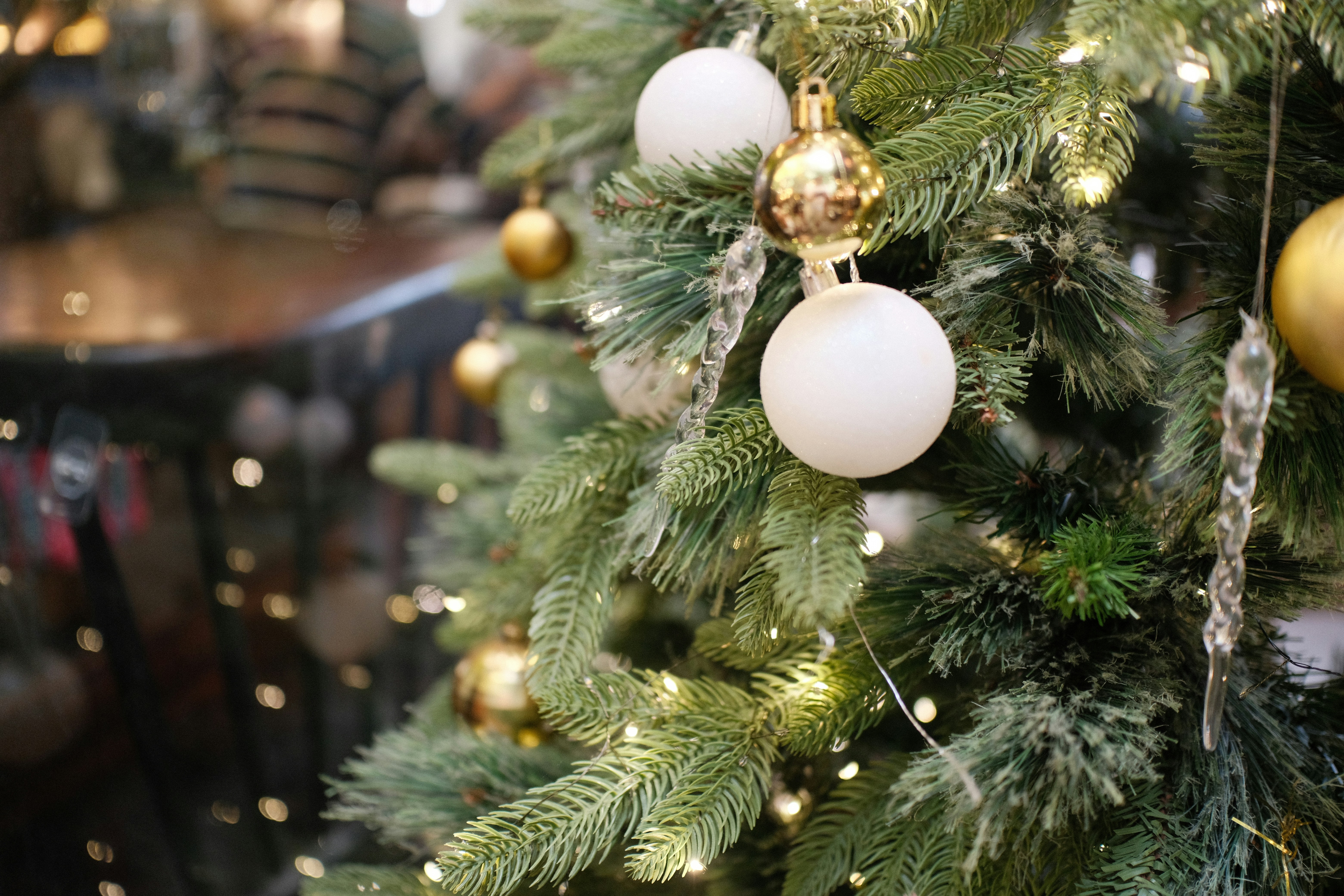 Photo by quangtran304