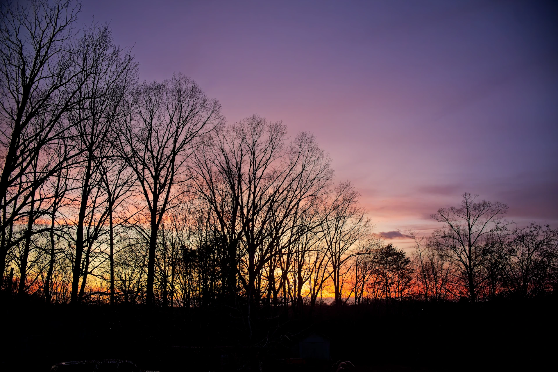 Silhouette trees against a vibrant sunset sky.