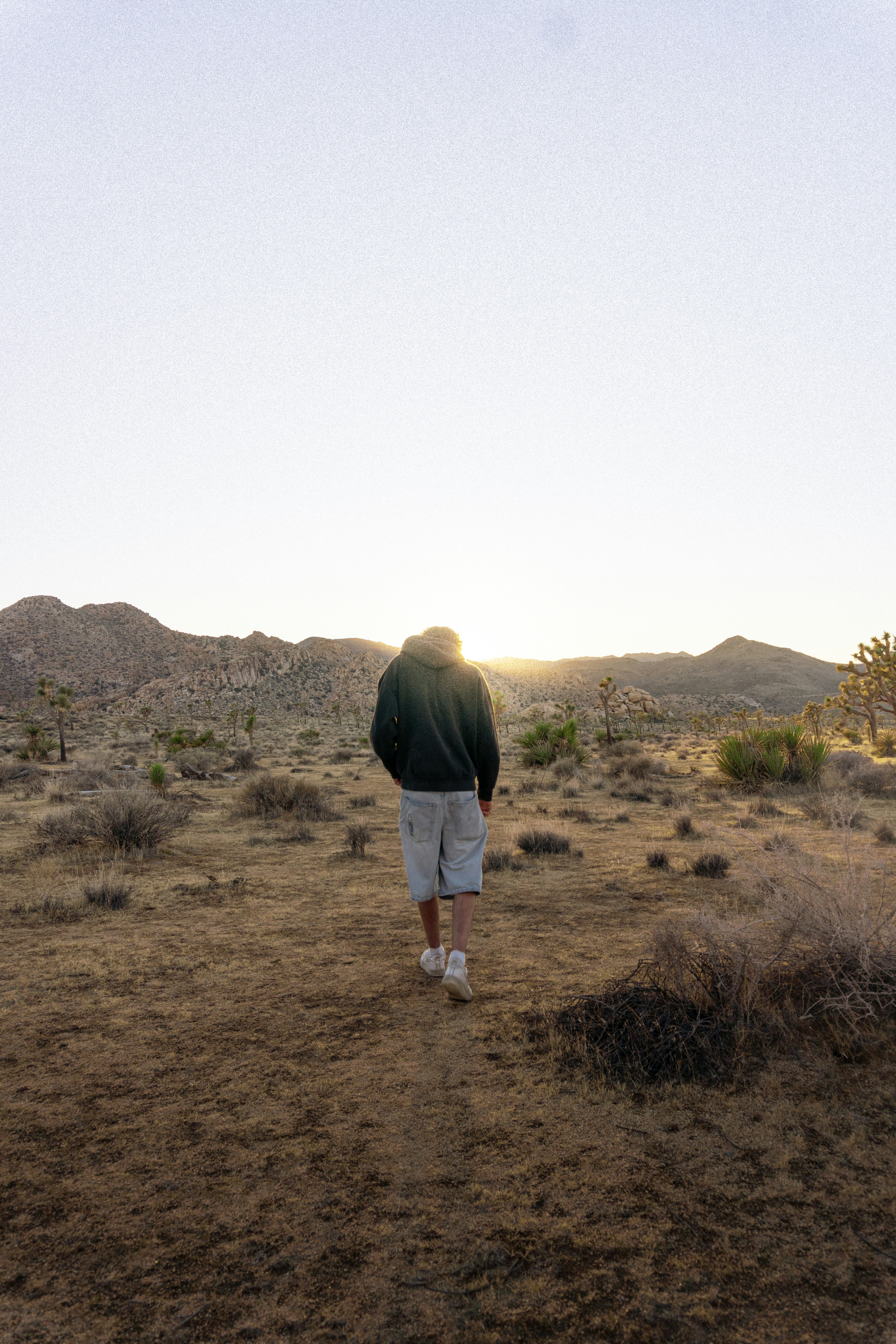 Hombre caminando por un paisaje desértico al atardecer