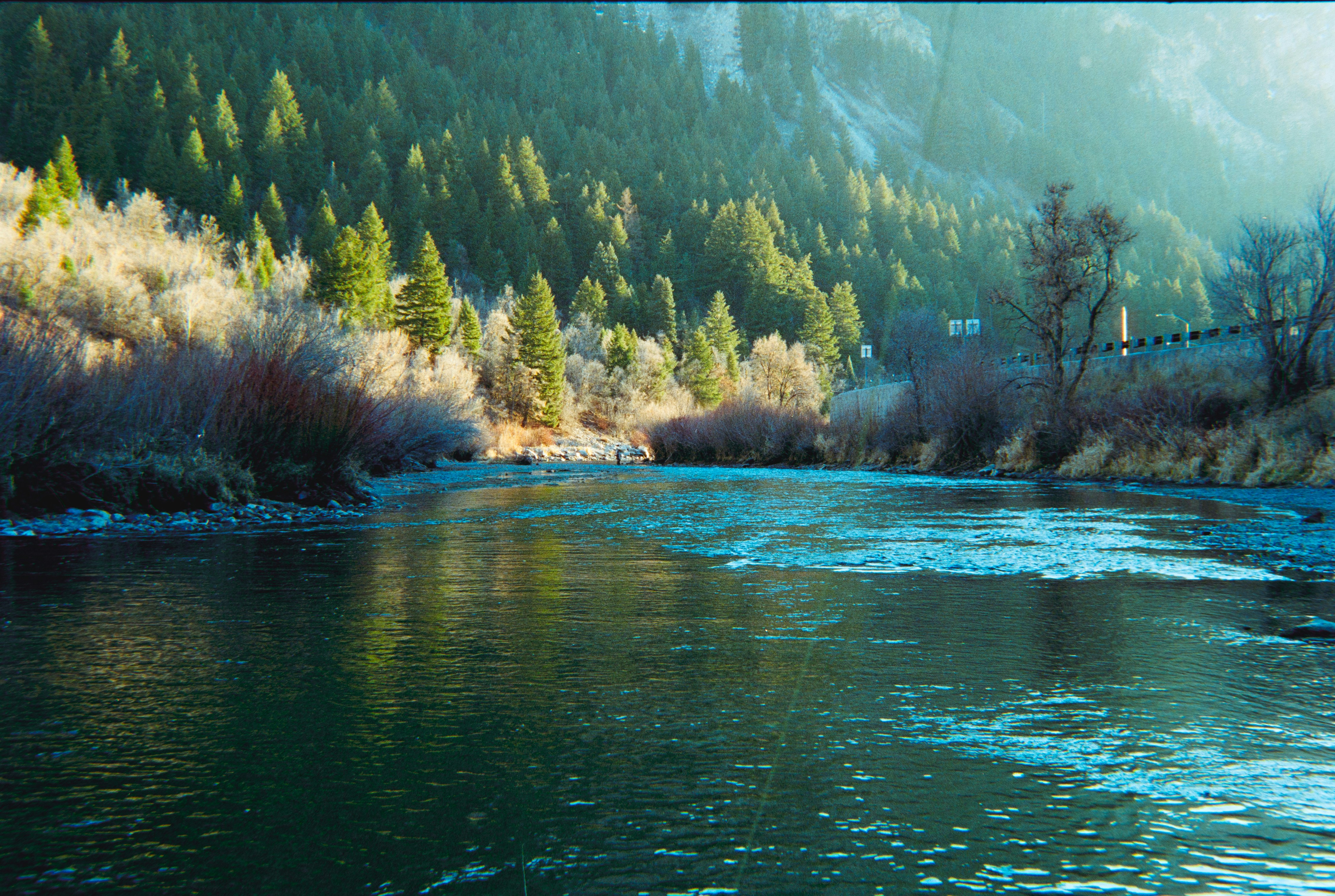 Photo by theguccer2100