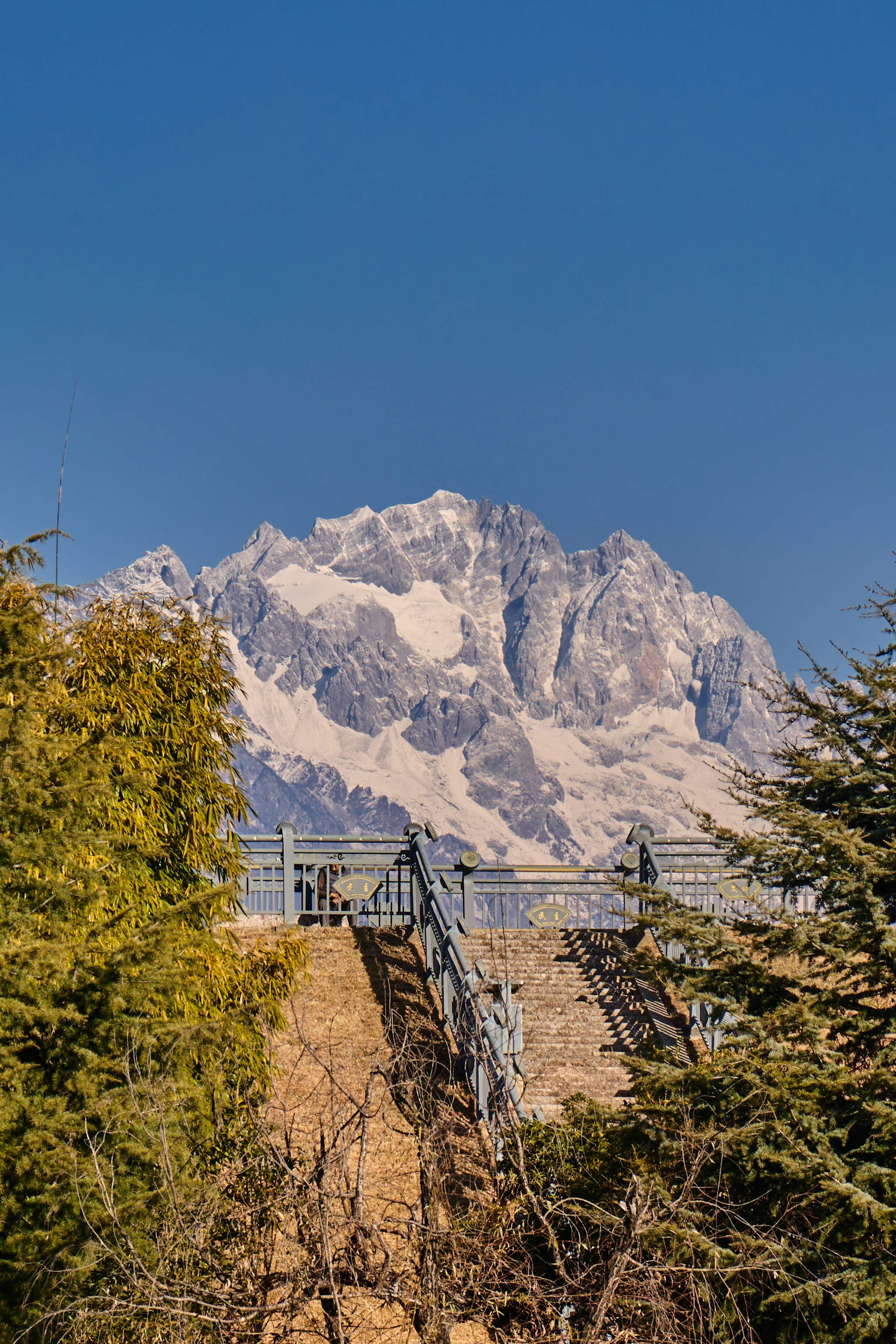 Cima innevata dietro alberi e ponte.