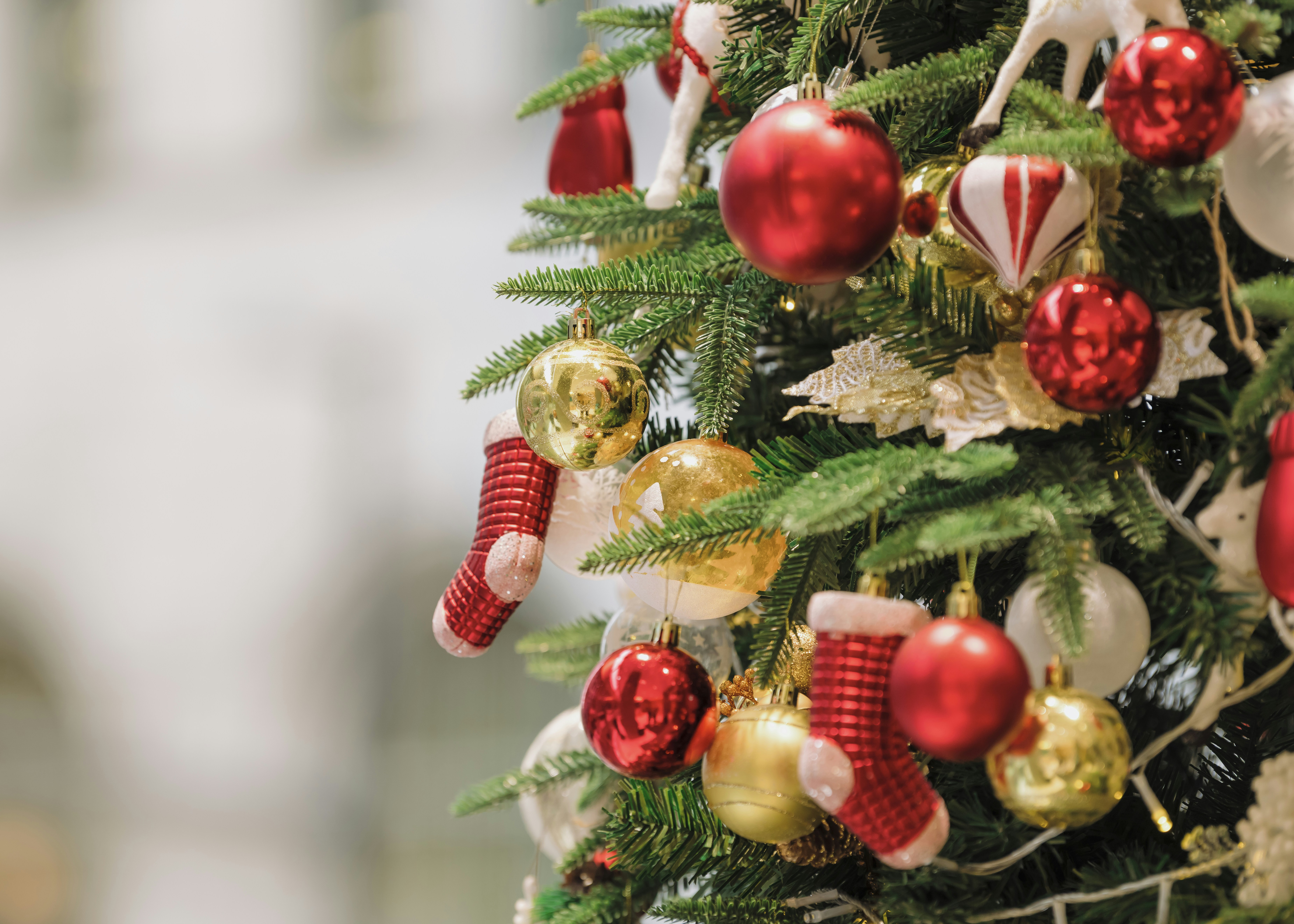 Photo by albertstoynov