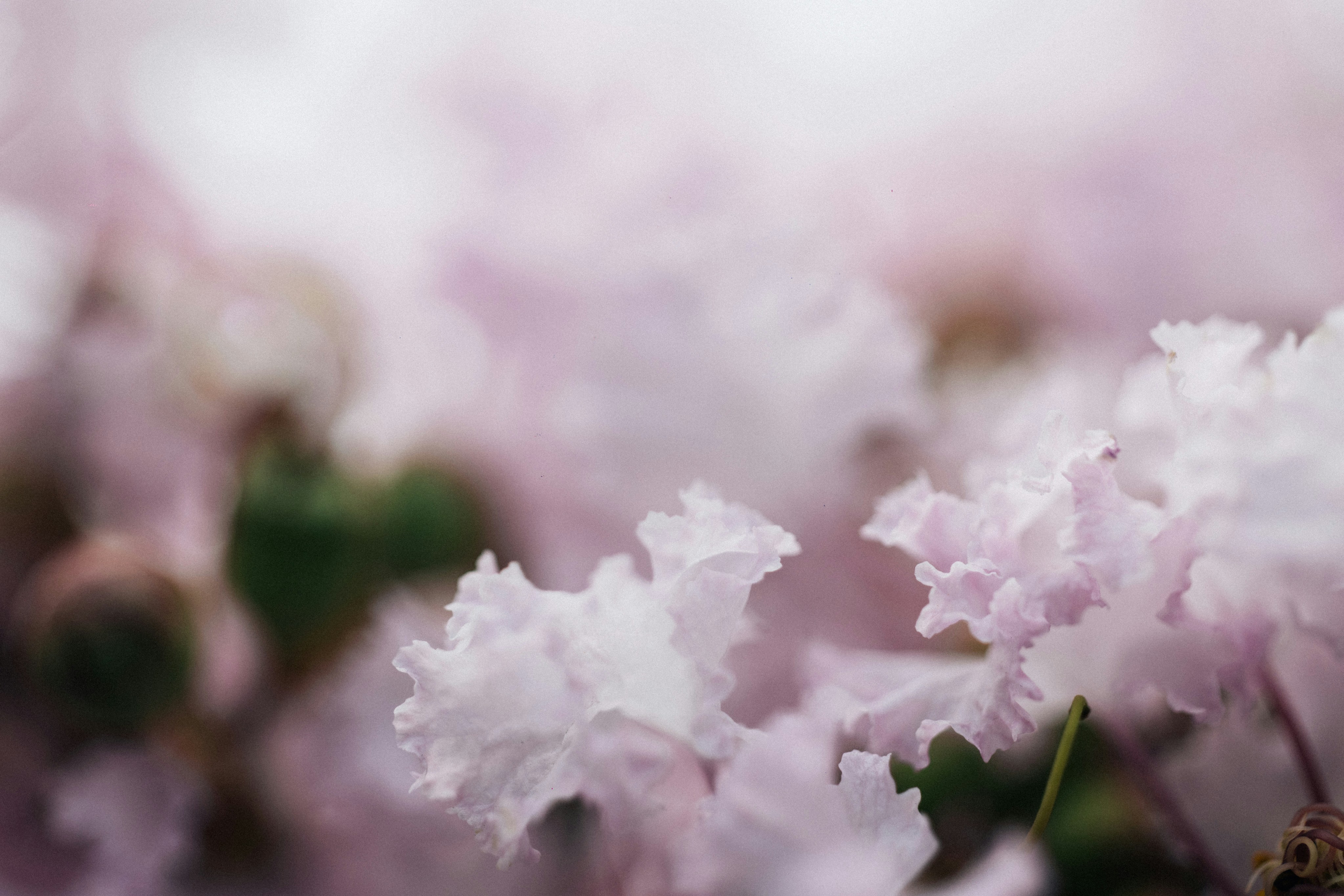 Photo by tsuyoshikozu