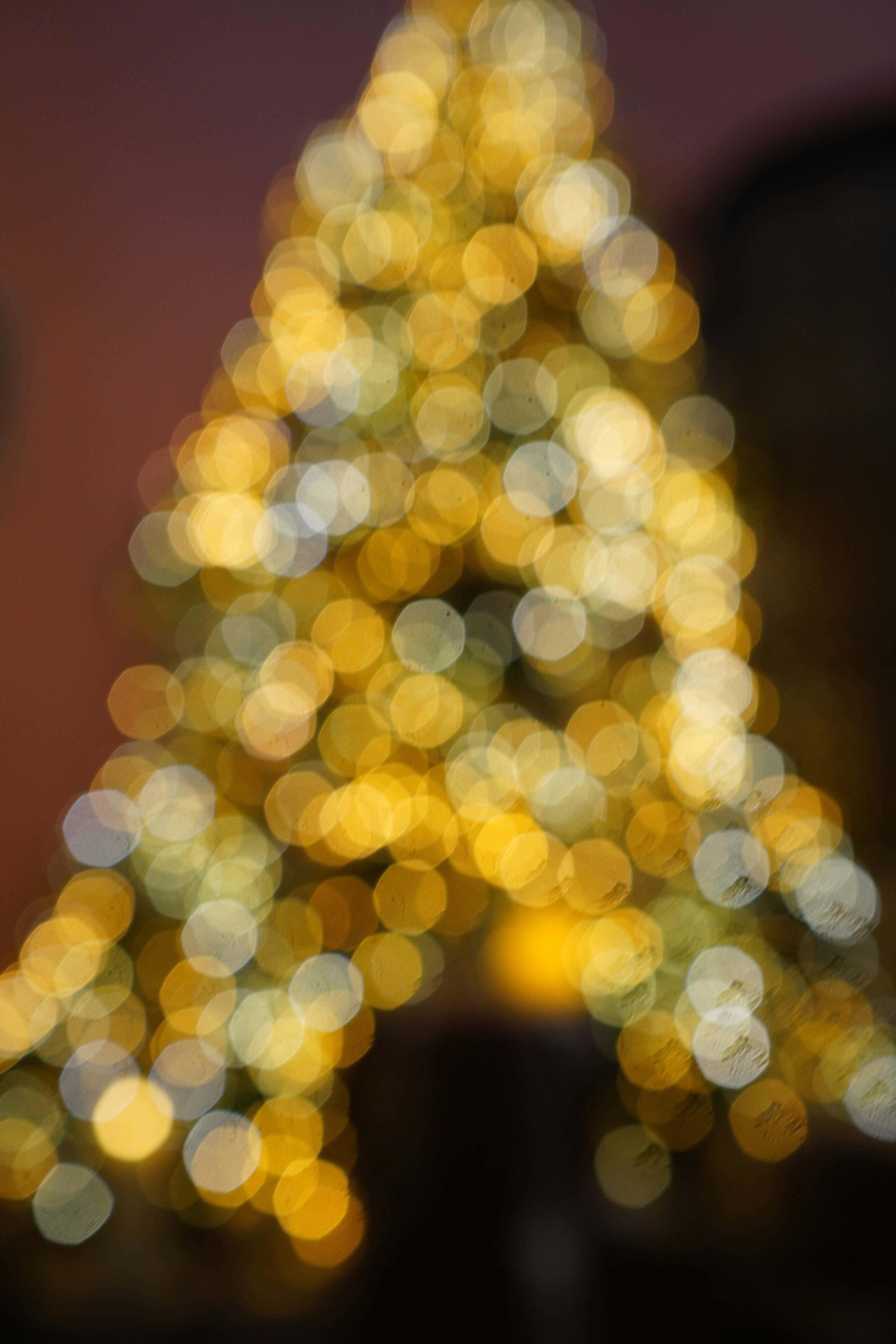 Photo by orangelatte