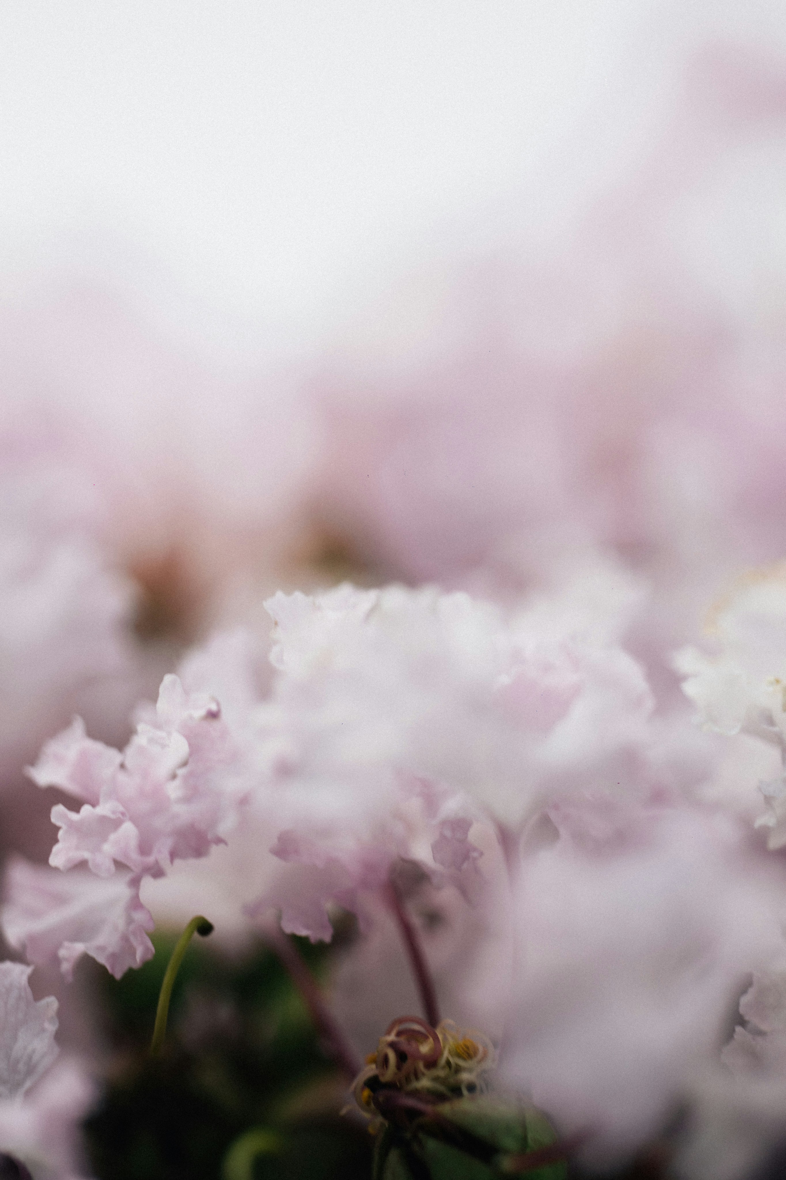 Photo by tsuyoshikozu