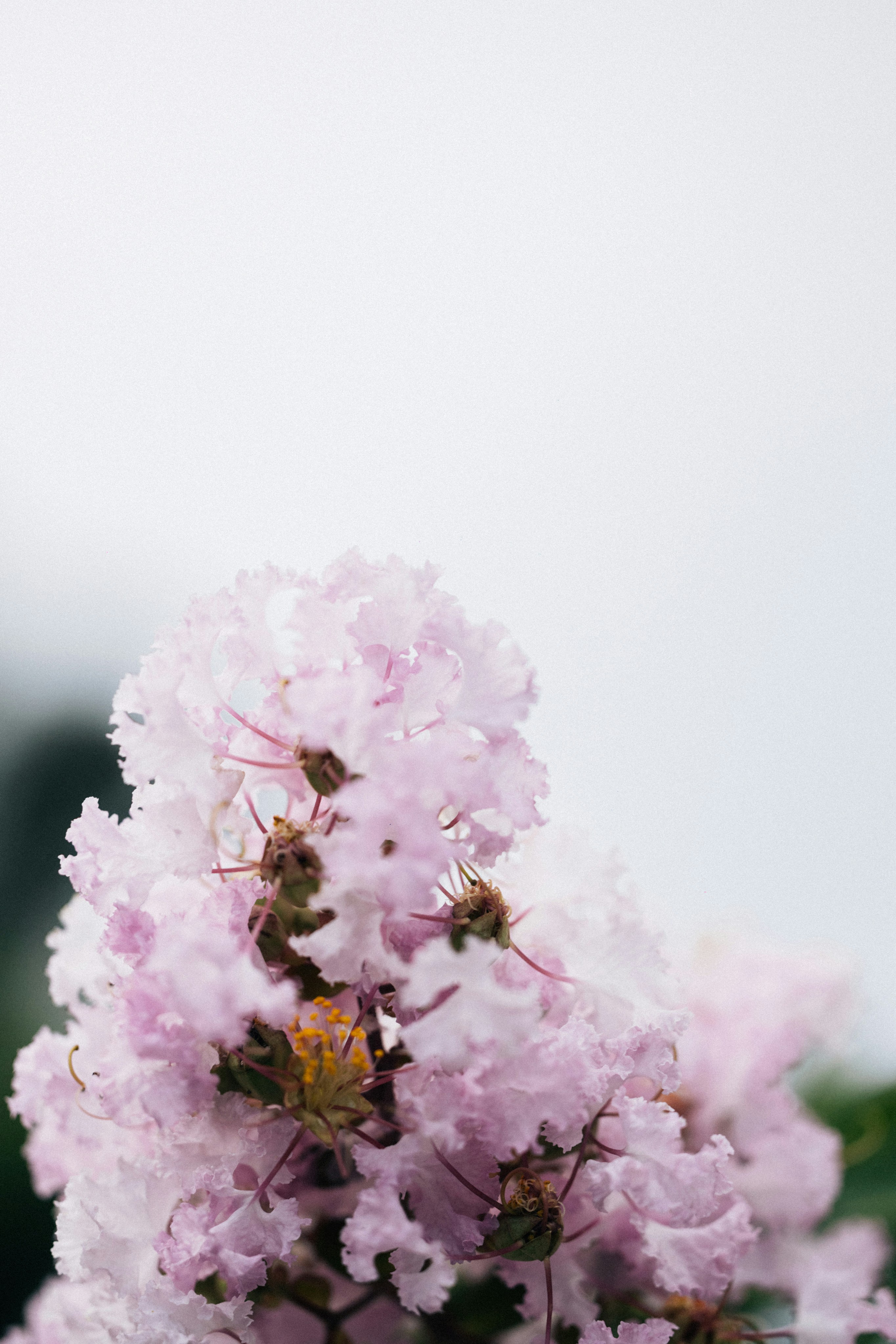 Photo by tsuyoshikozu