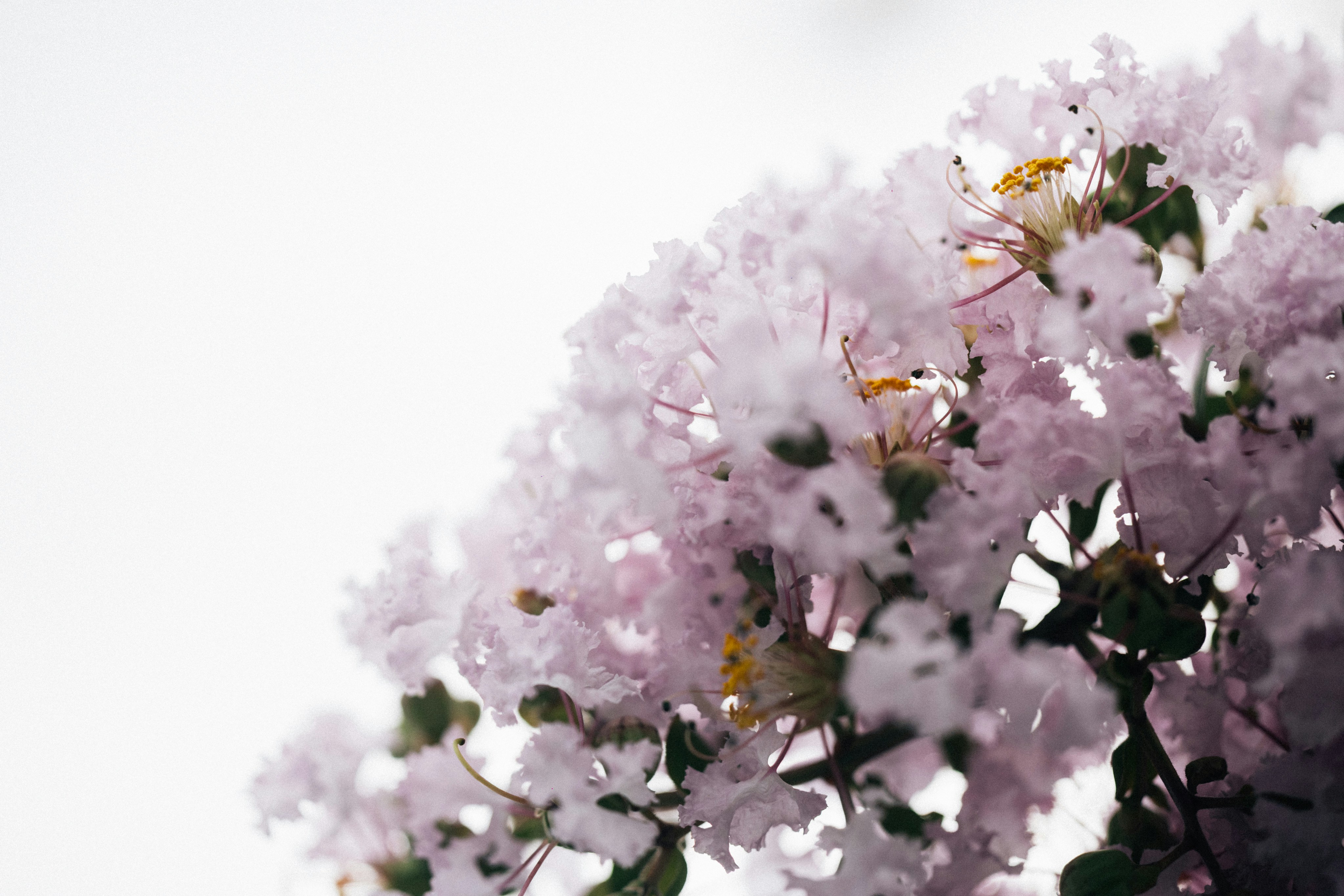 Photo by tsuyoshikozu