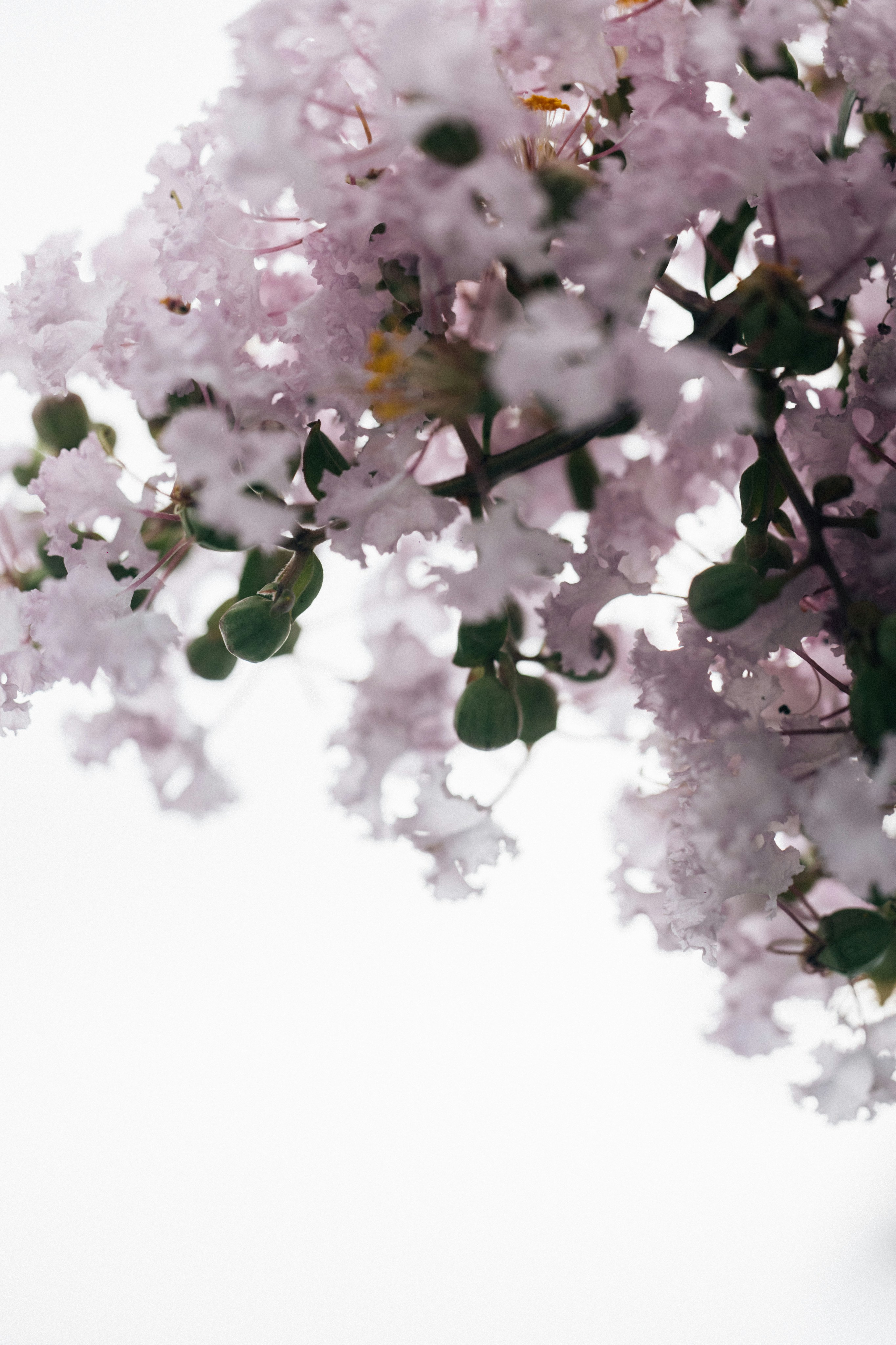 Photo by tsuyoshikozu