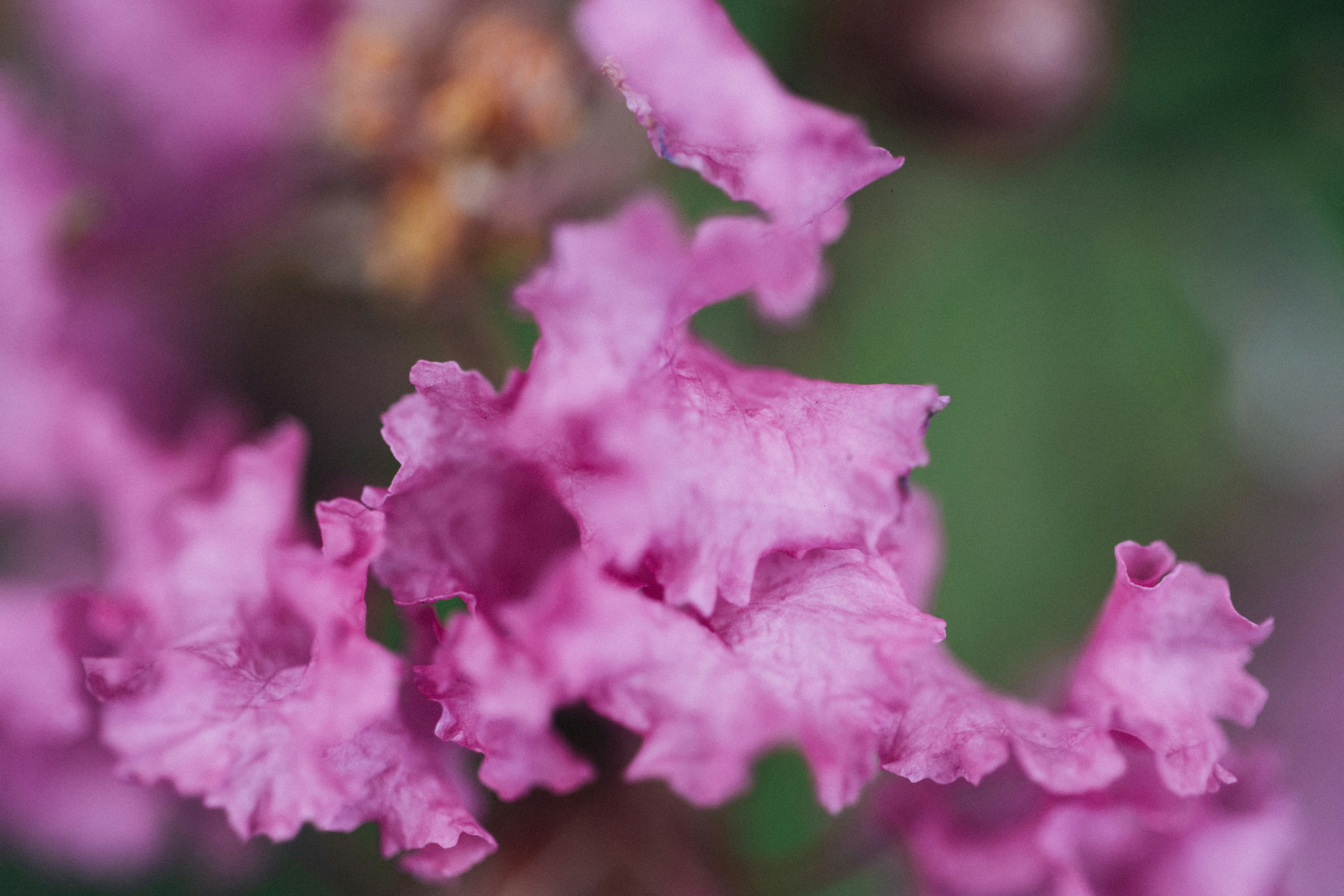 Photo by tsuyoshikozu