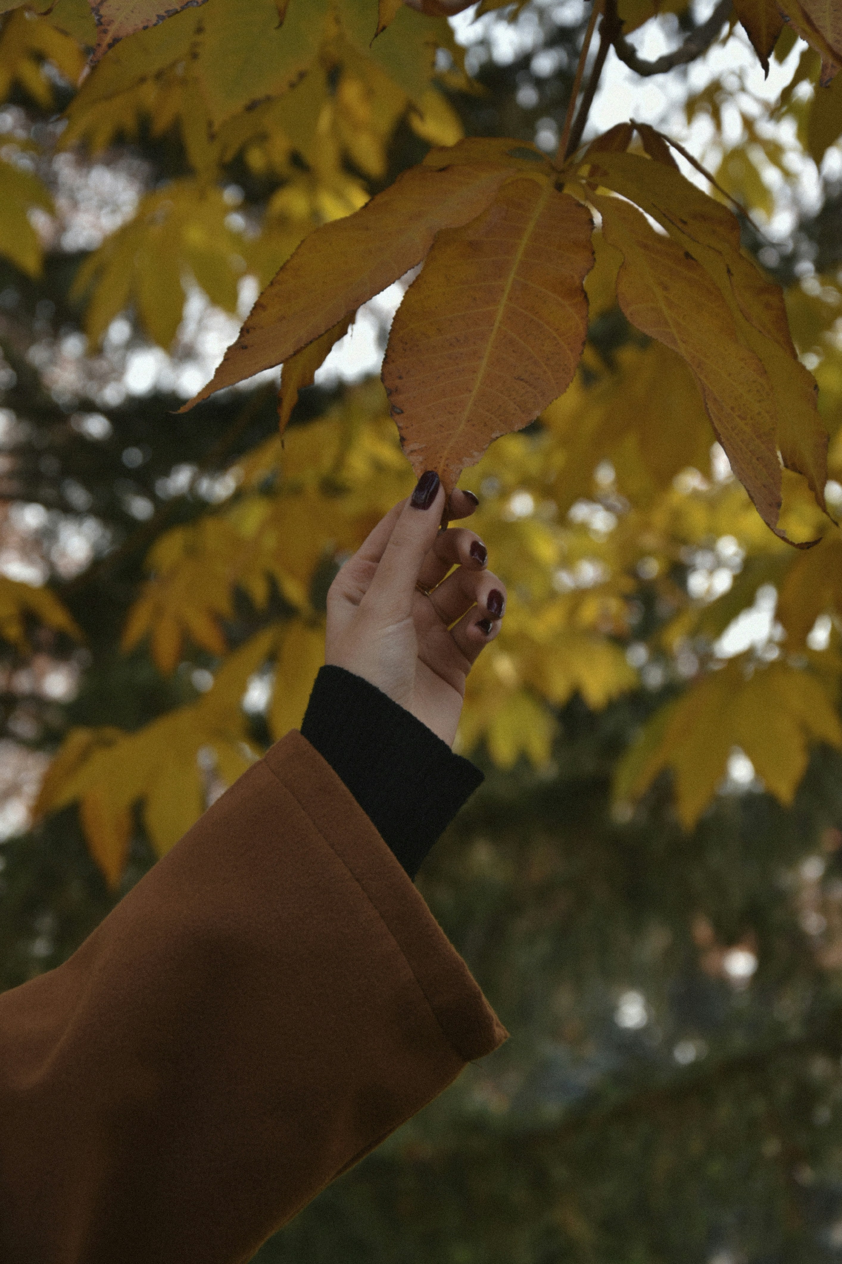 Photo by aestheticasal98