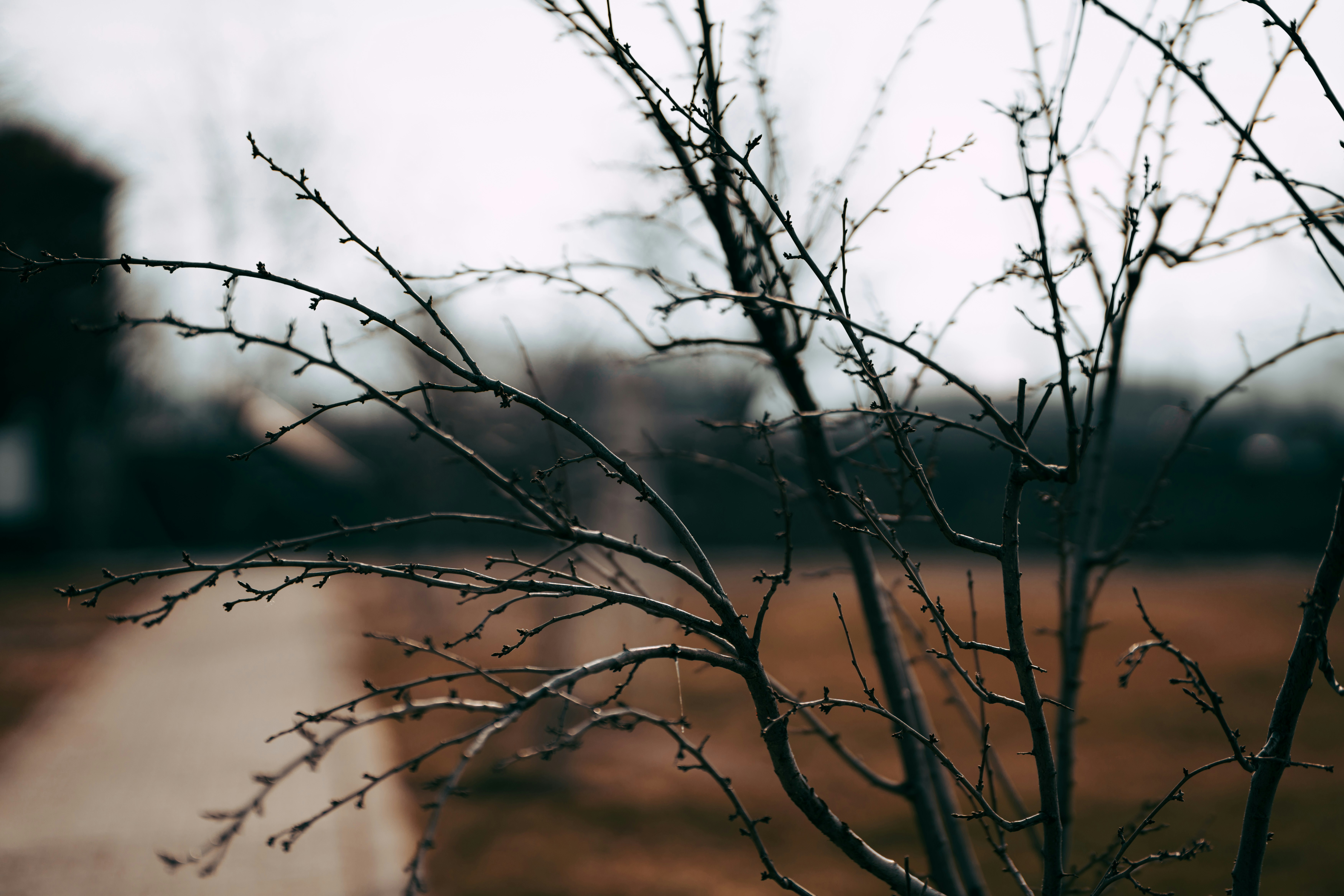 Photo by oguzzdogada