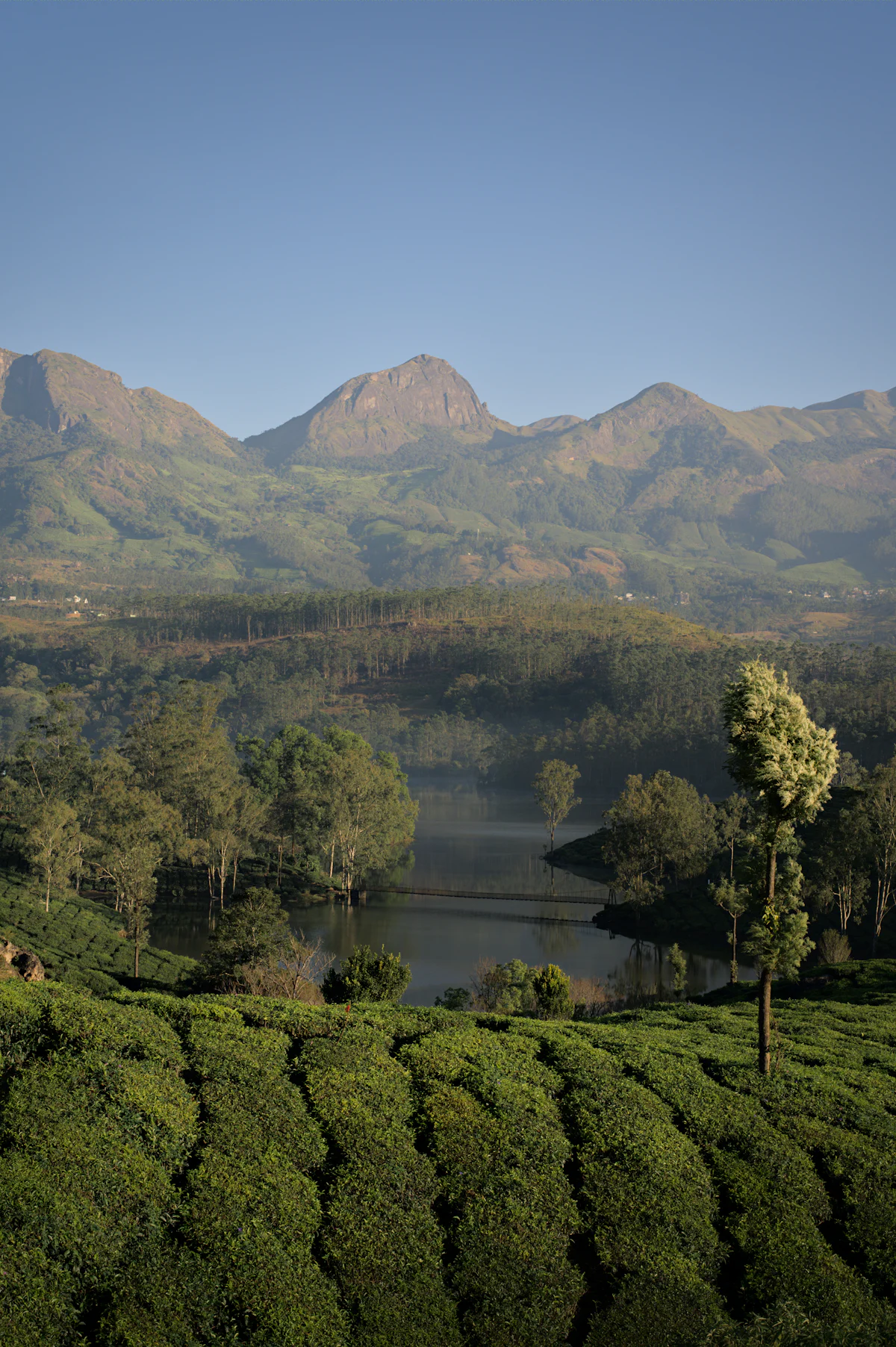 Mirik