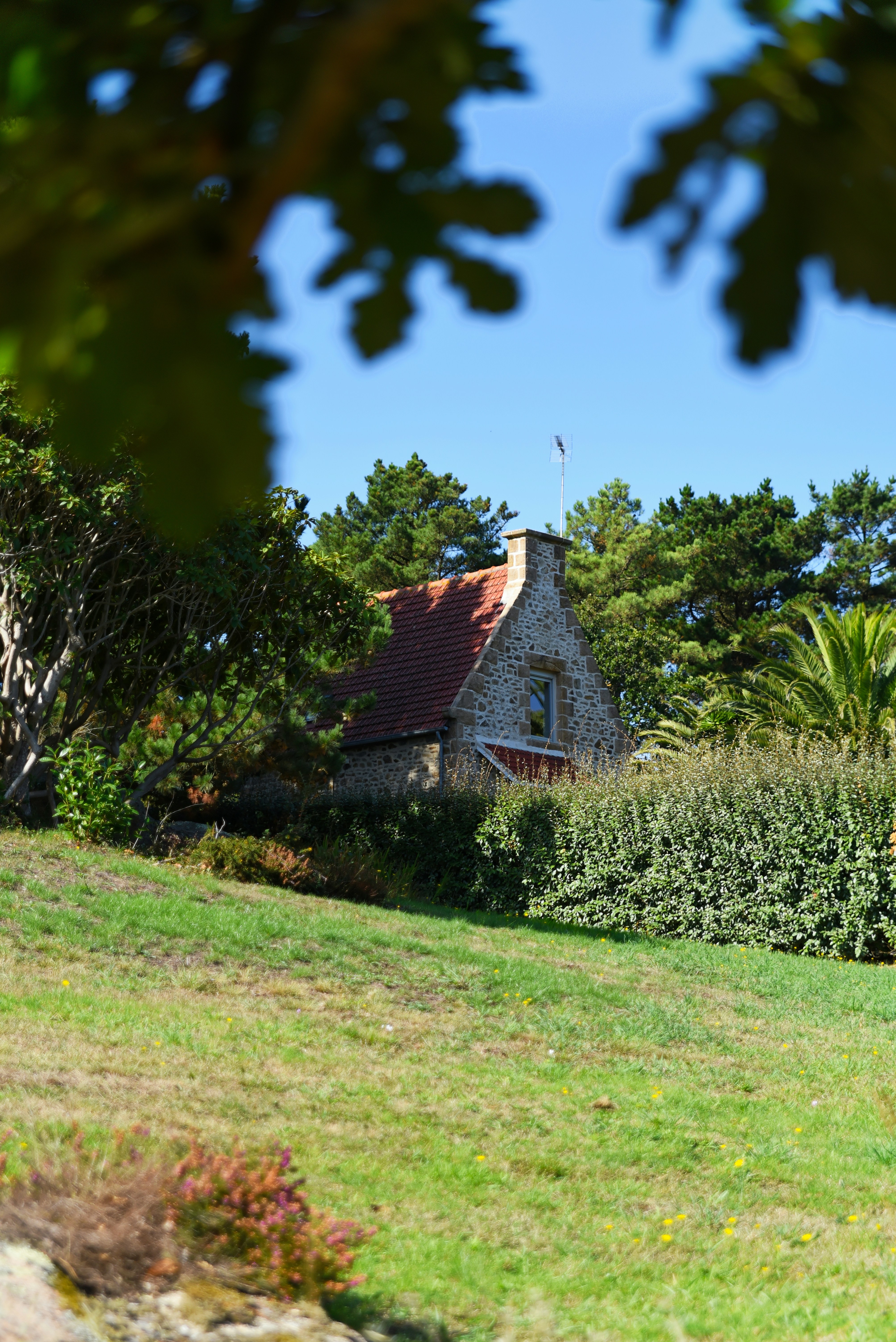 Stone cottage nestled among trees on a sunny day.