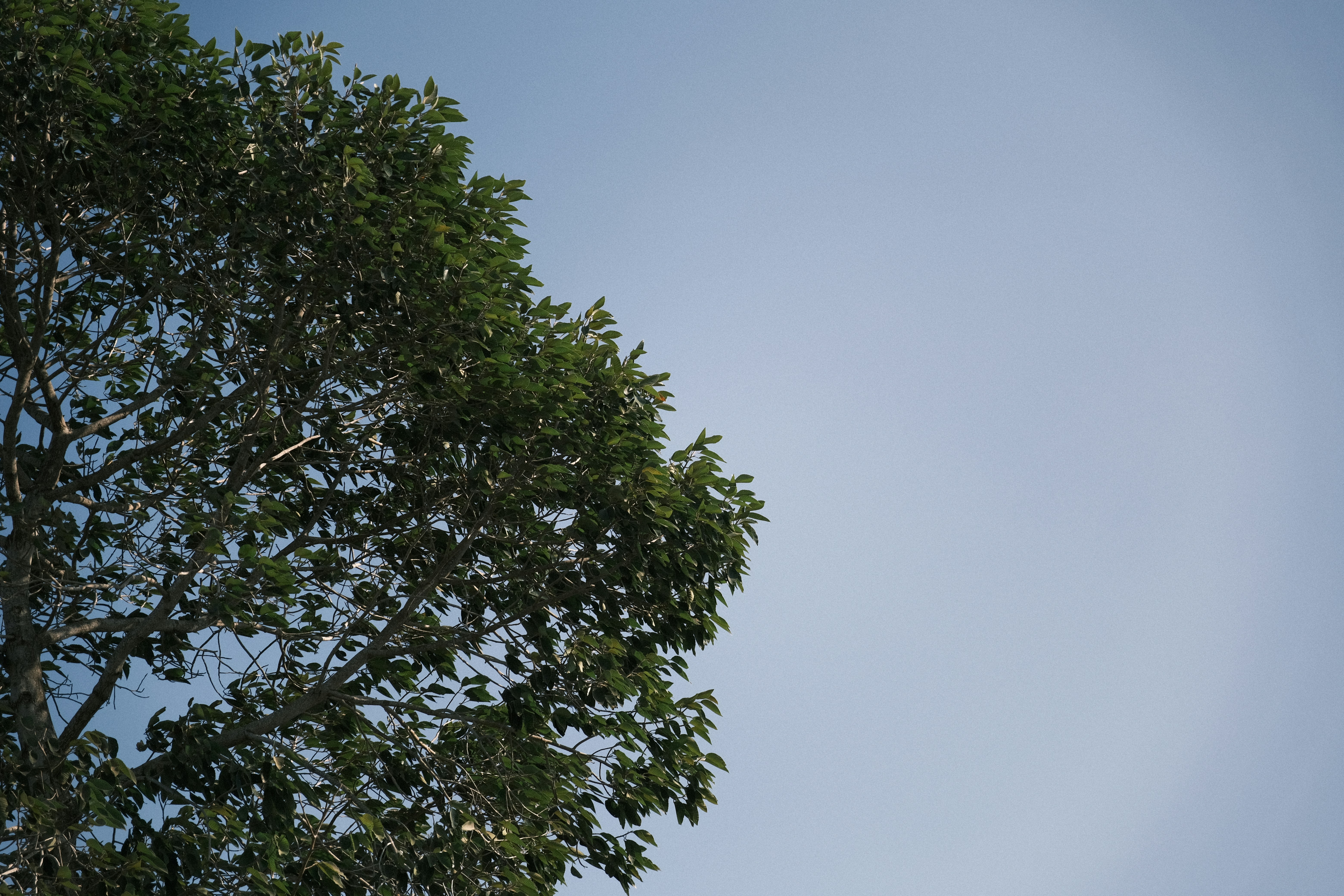 Photo by _bachngyn313