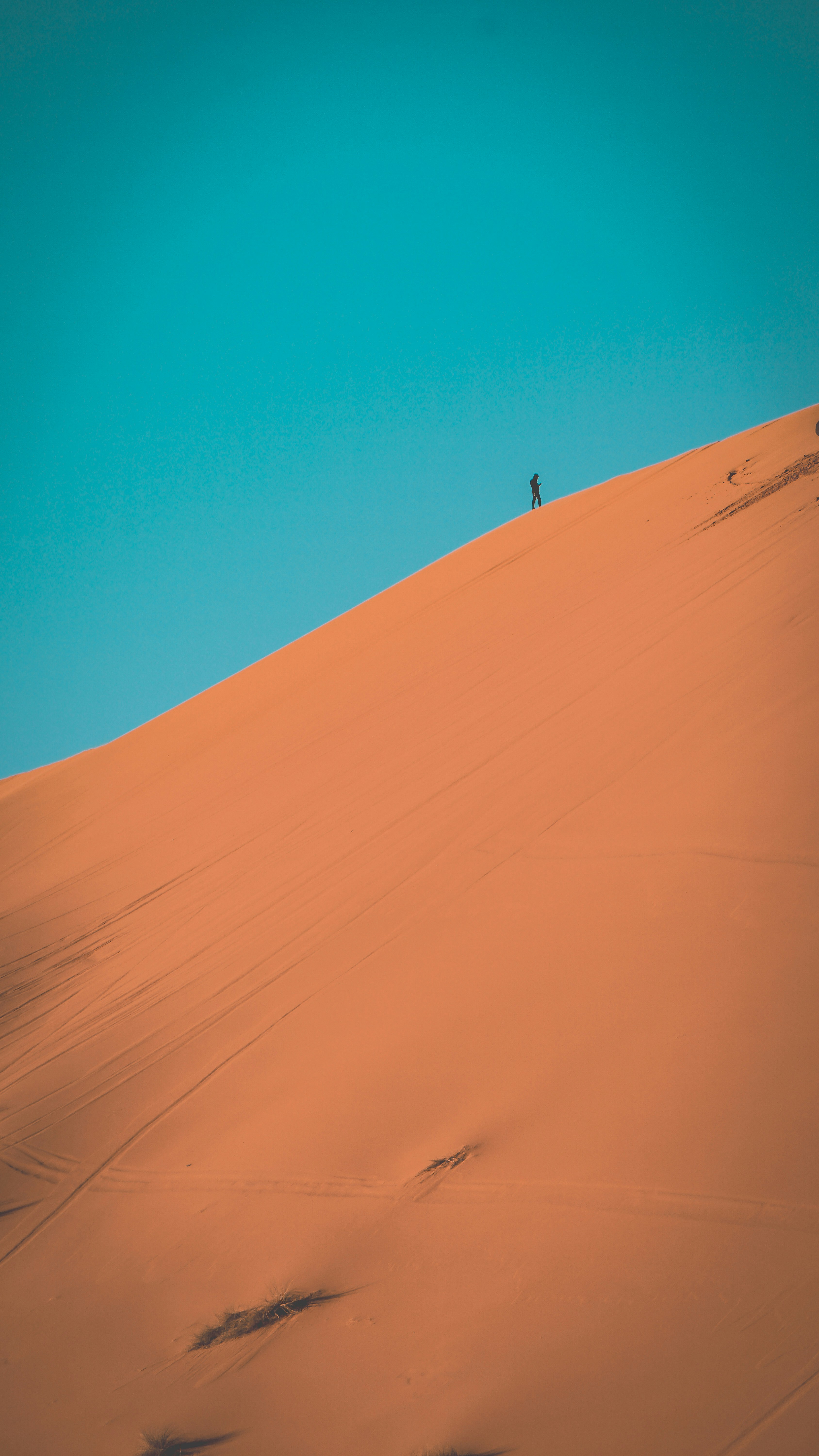 Photo by moroccopictures