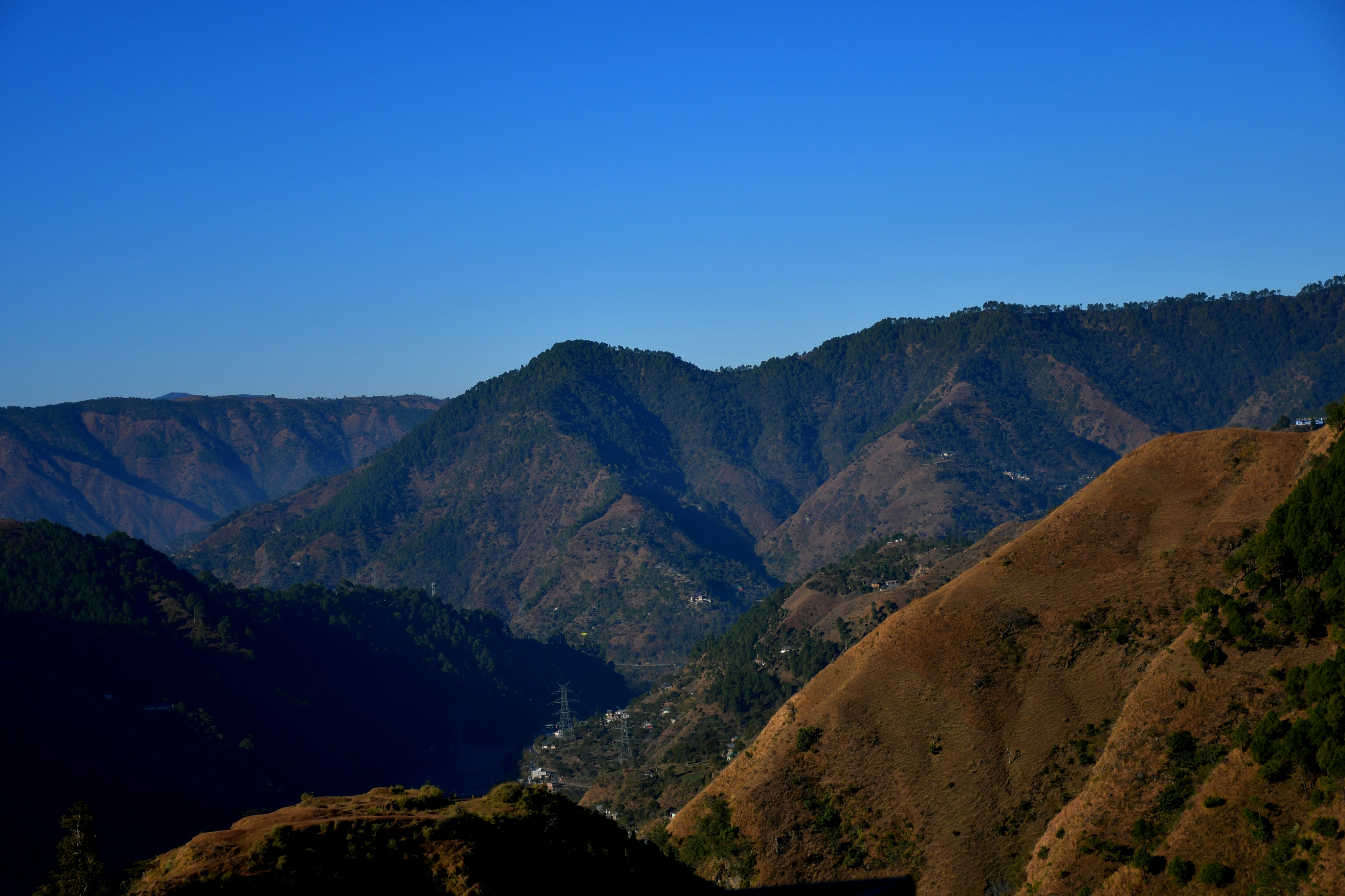 Photo by natureandmylens