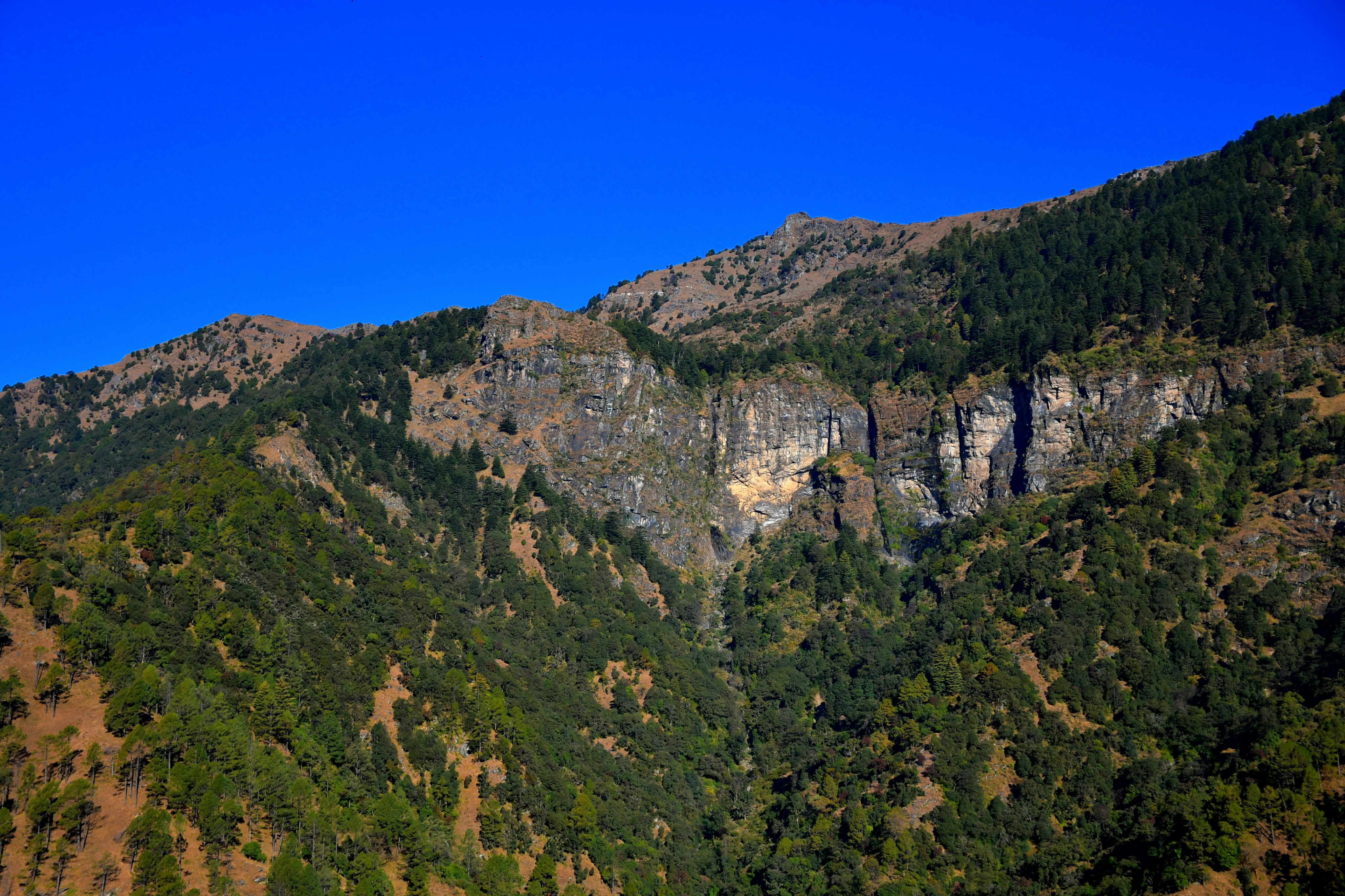 Photo by natureandmylens