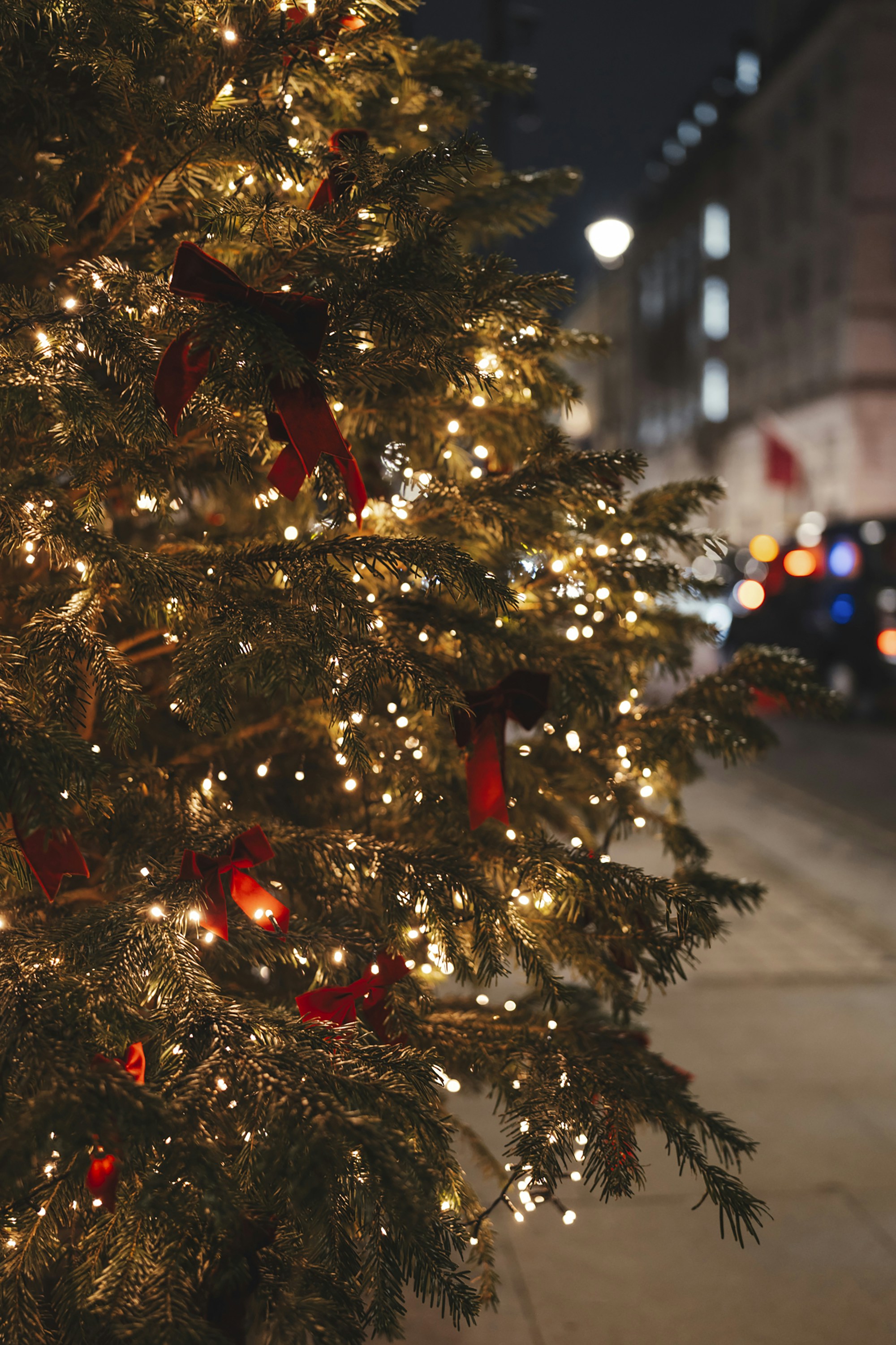 Photo by lauralalis06