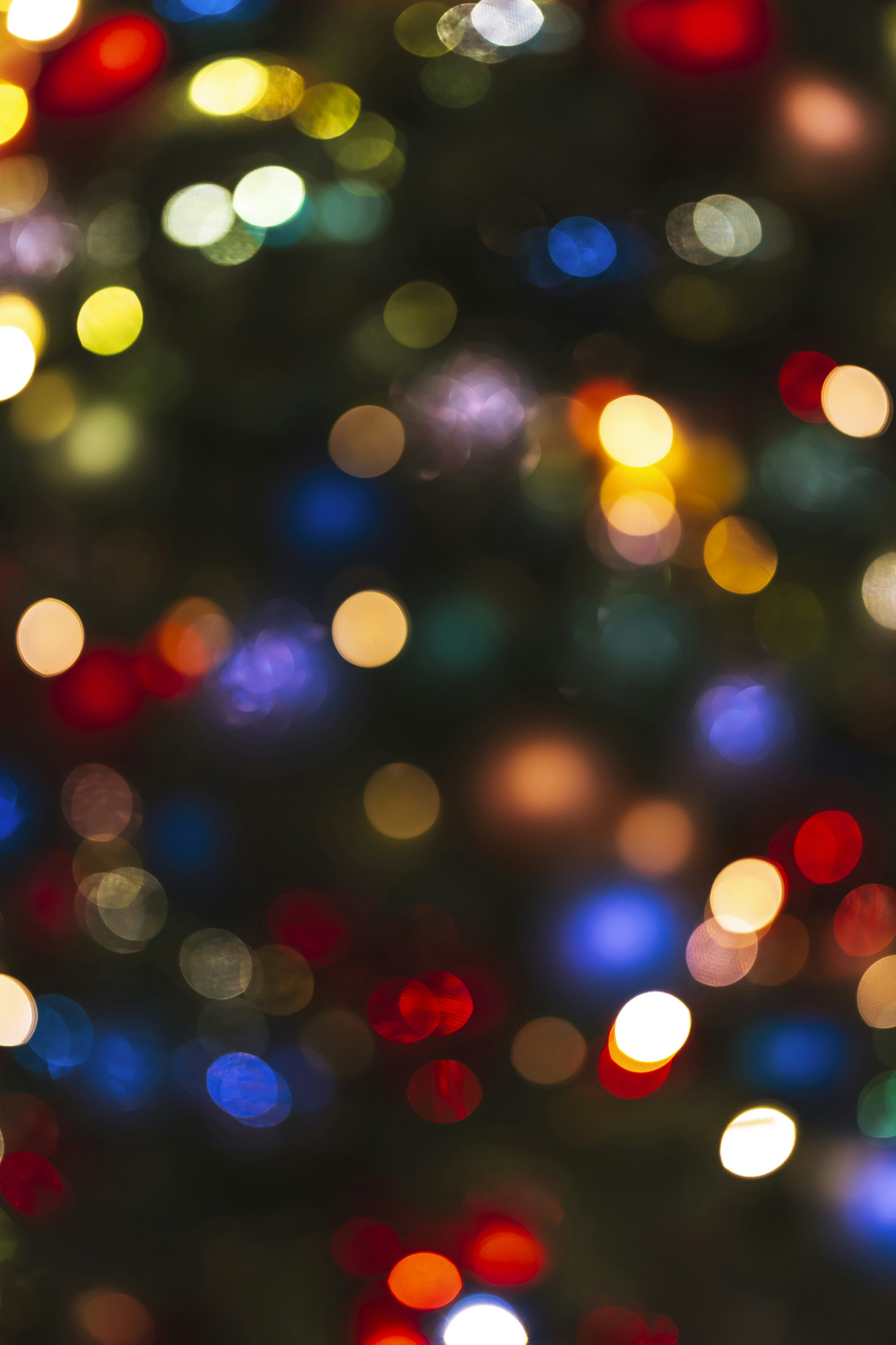 Photo by lauralalis06