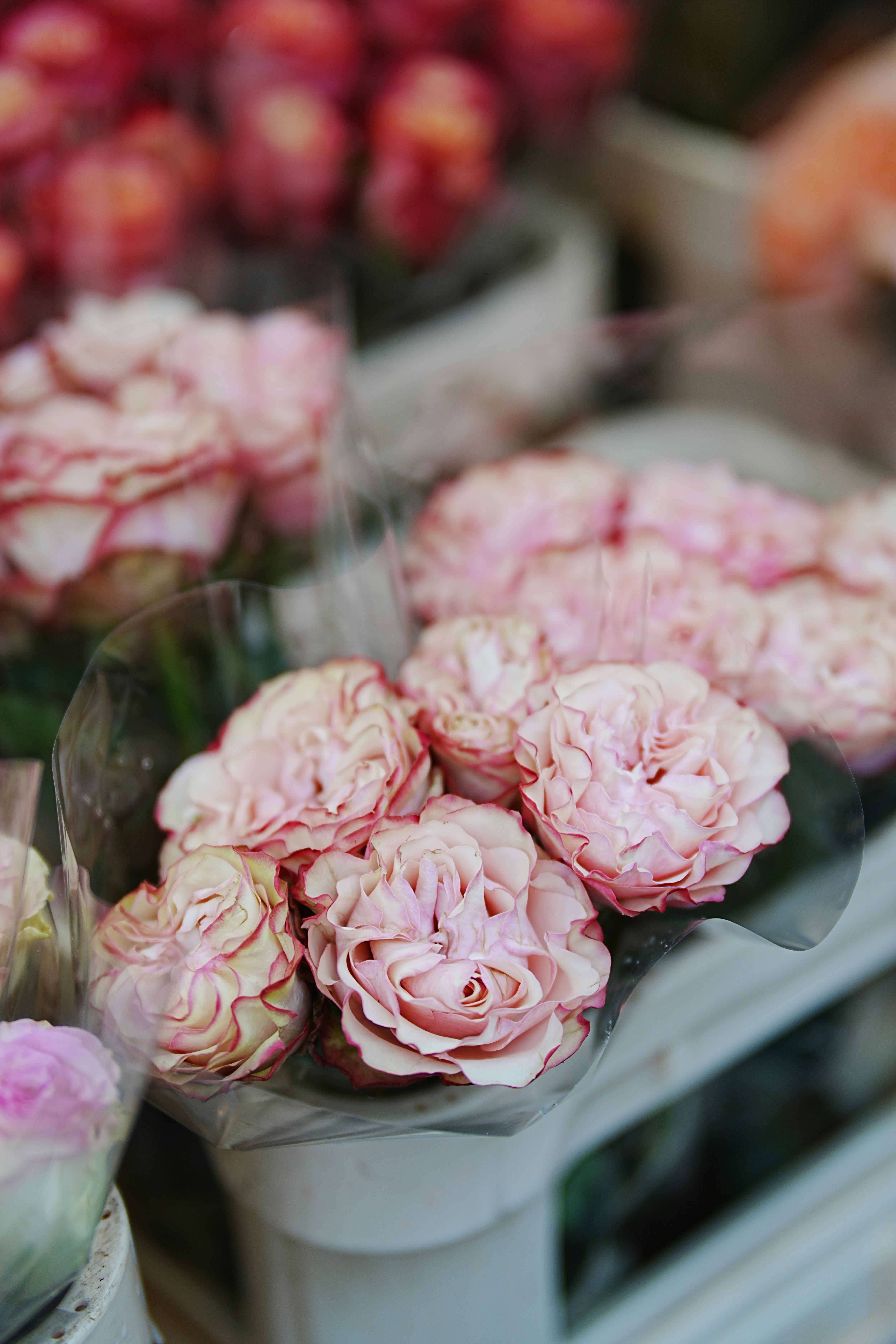 Photo by lauralalis06