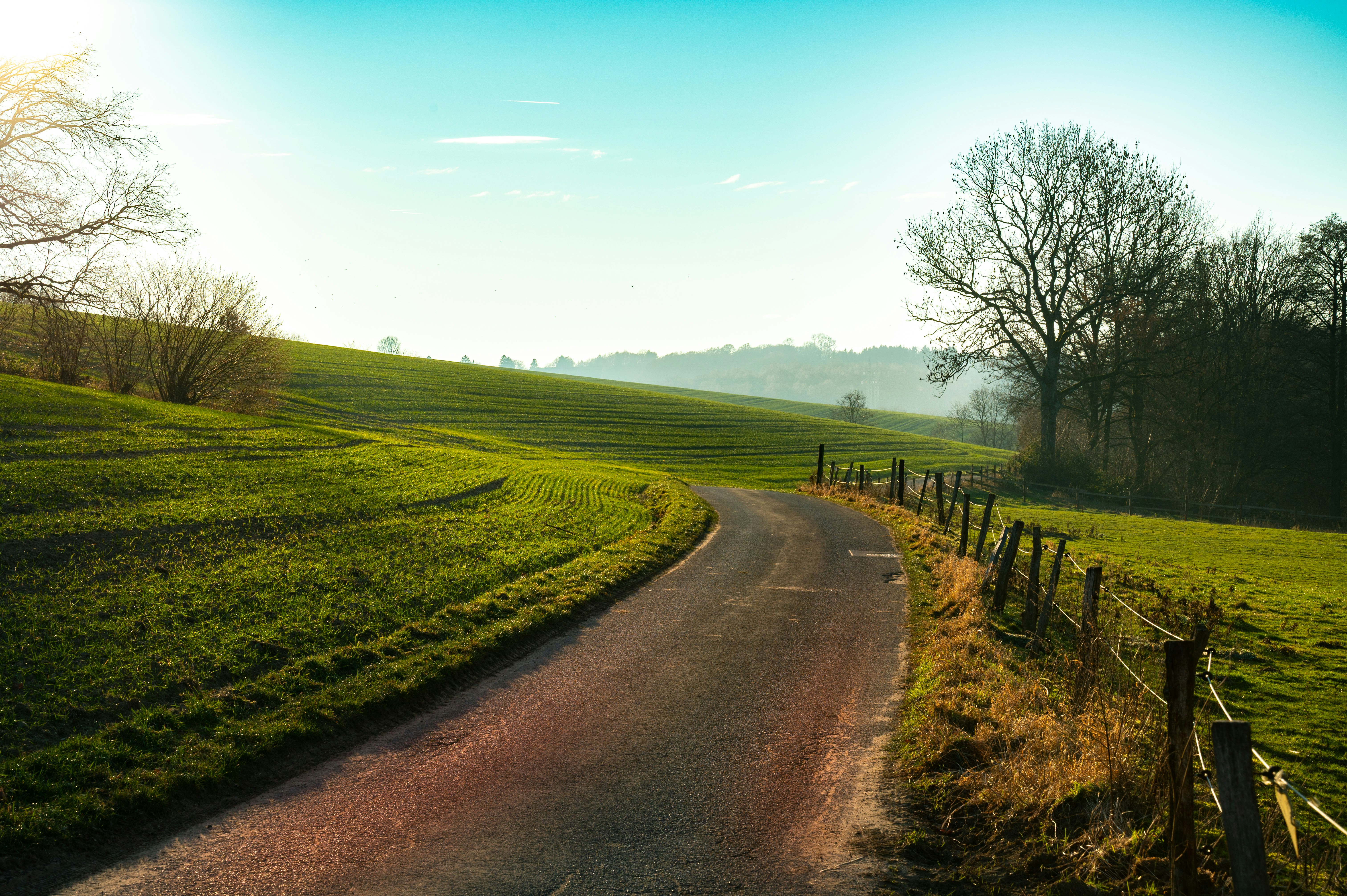 Photo by ruben_aster