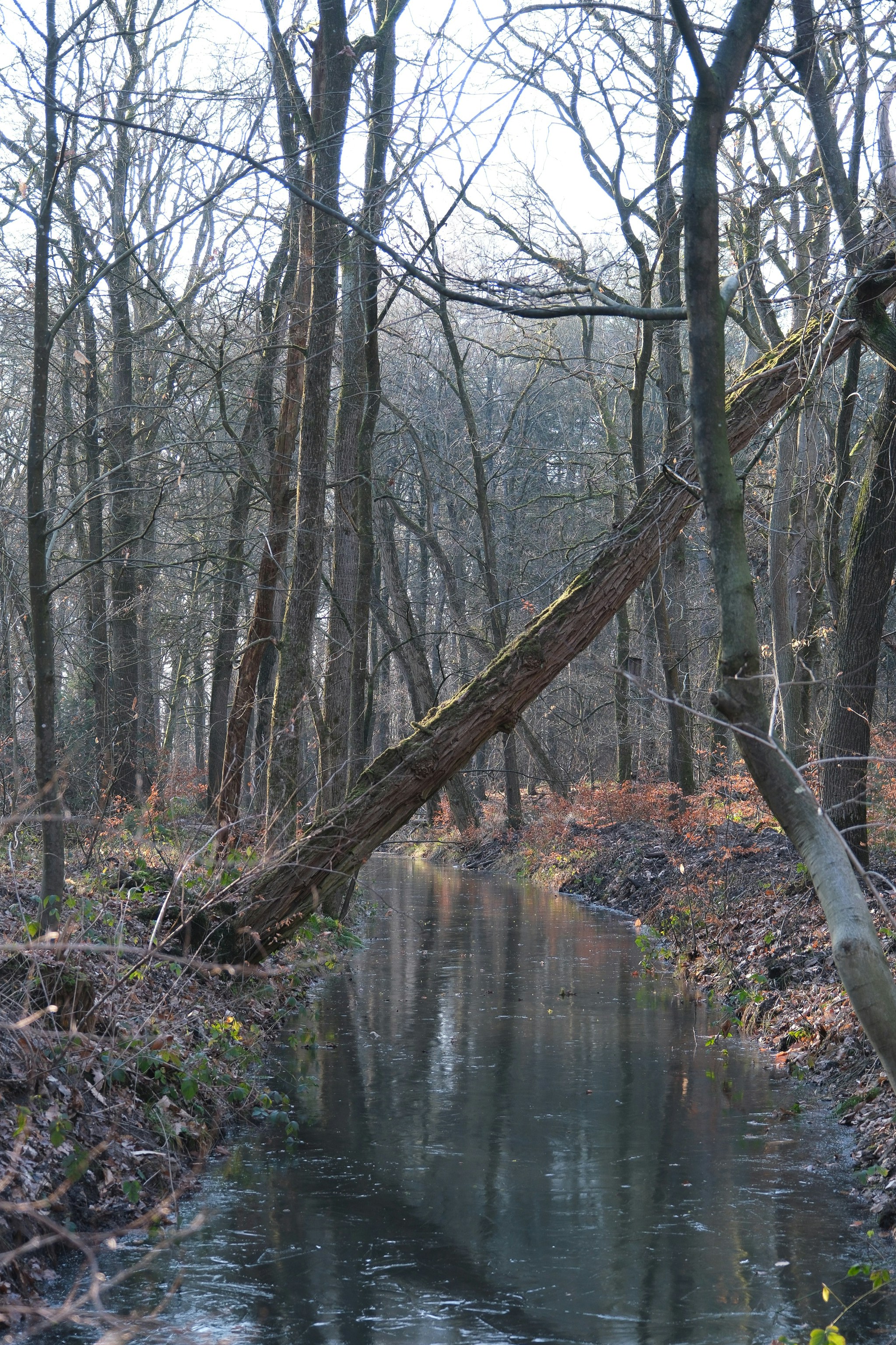 Photo by raulmermans