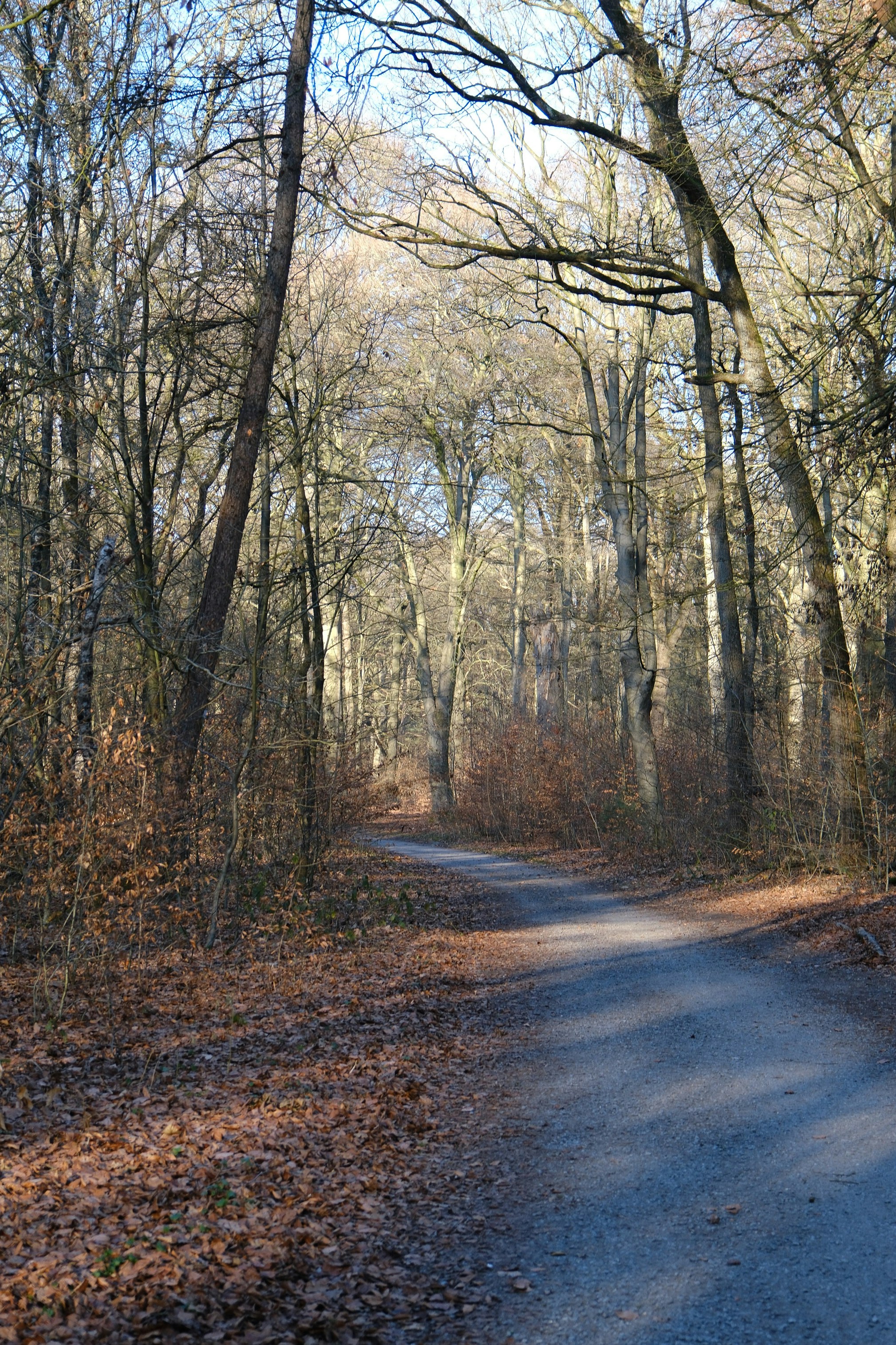 Photo by raulmermans